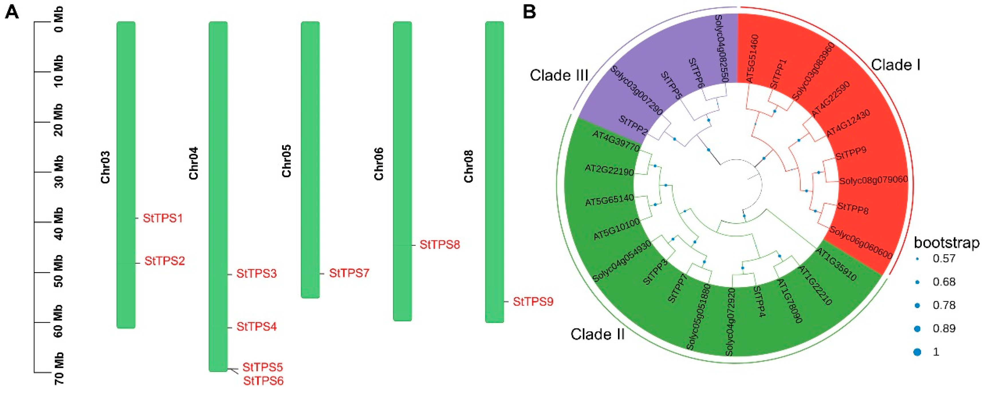 Plants 14 03300 g001 Plants 14 03300 g001