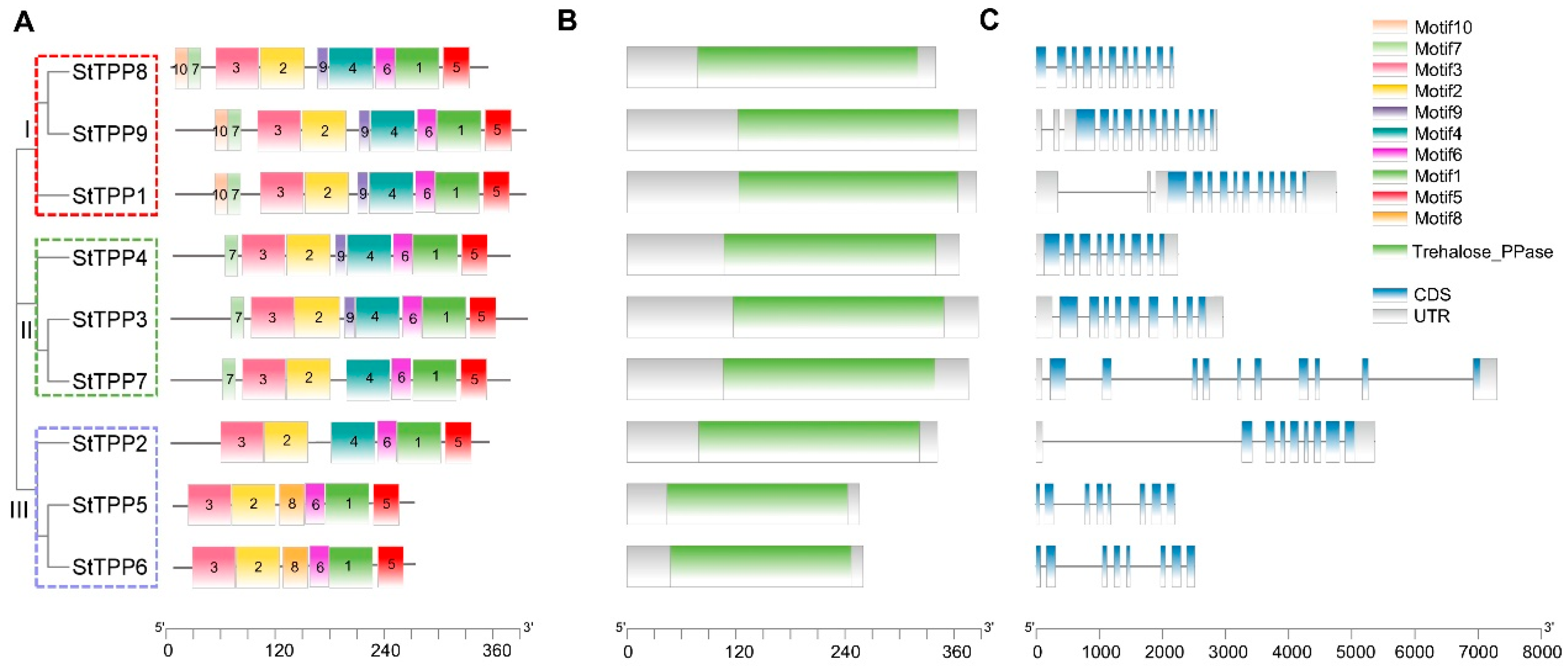Plants 14 03300 g002 Plants 14 03300 g002