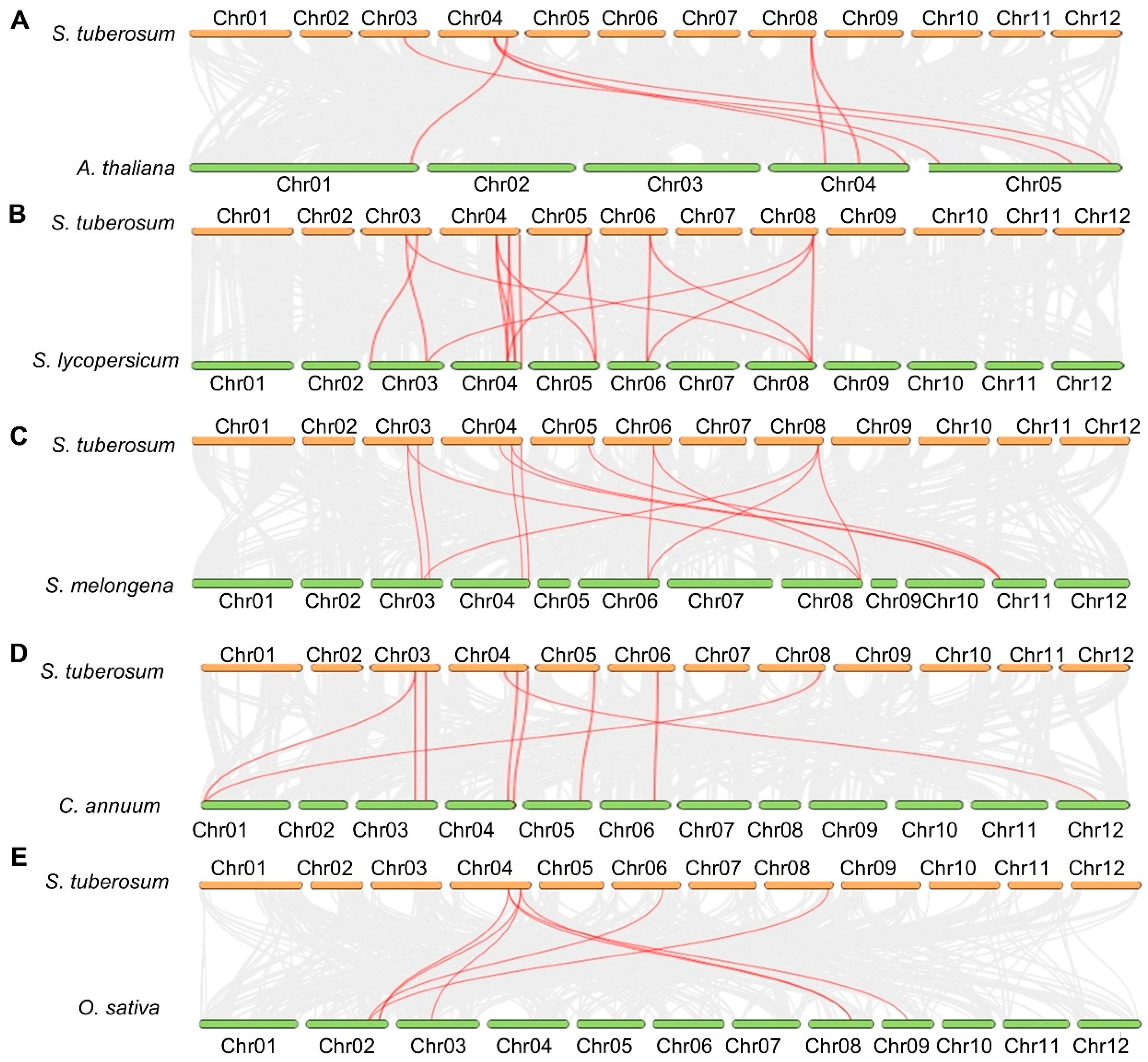 Plants 14 03300 g003 Plants 14 03300 g003