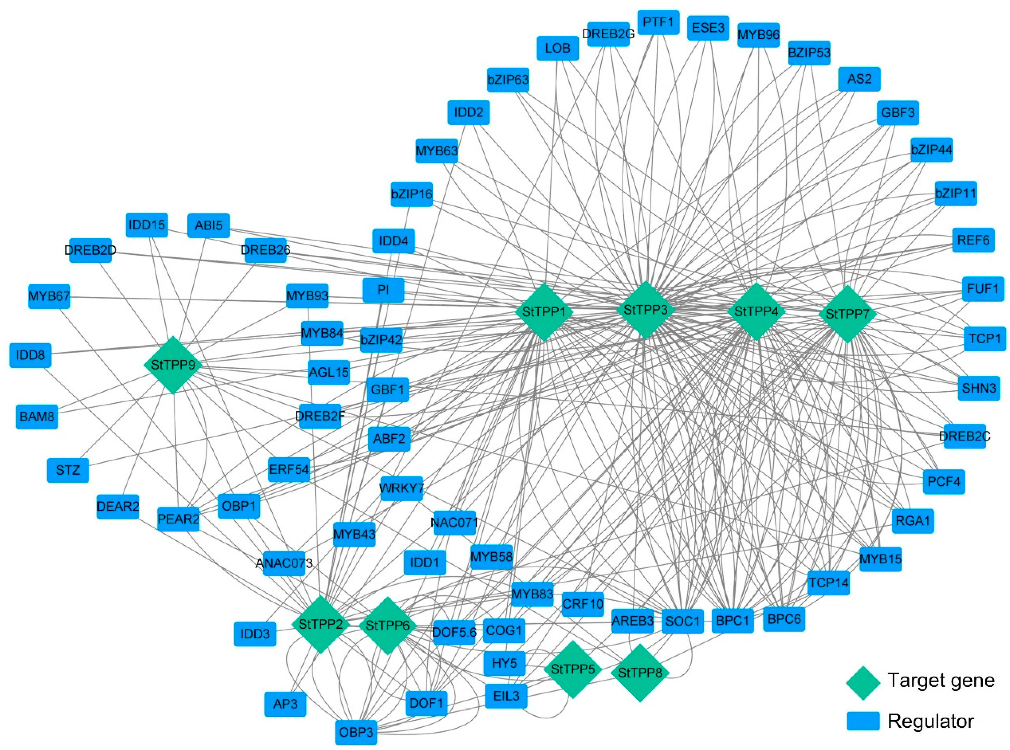 Plants 14 03300 g005 Plants 14 03300 g005