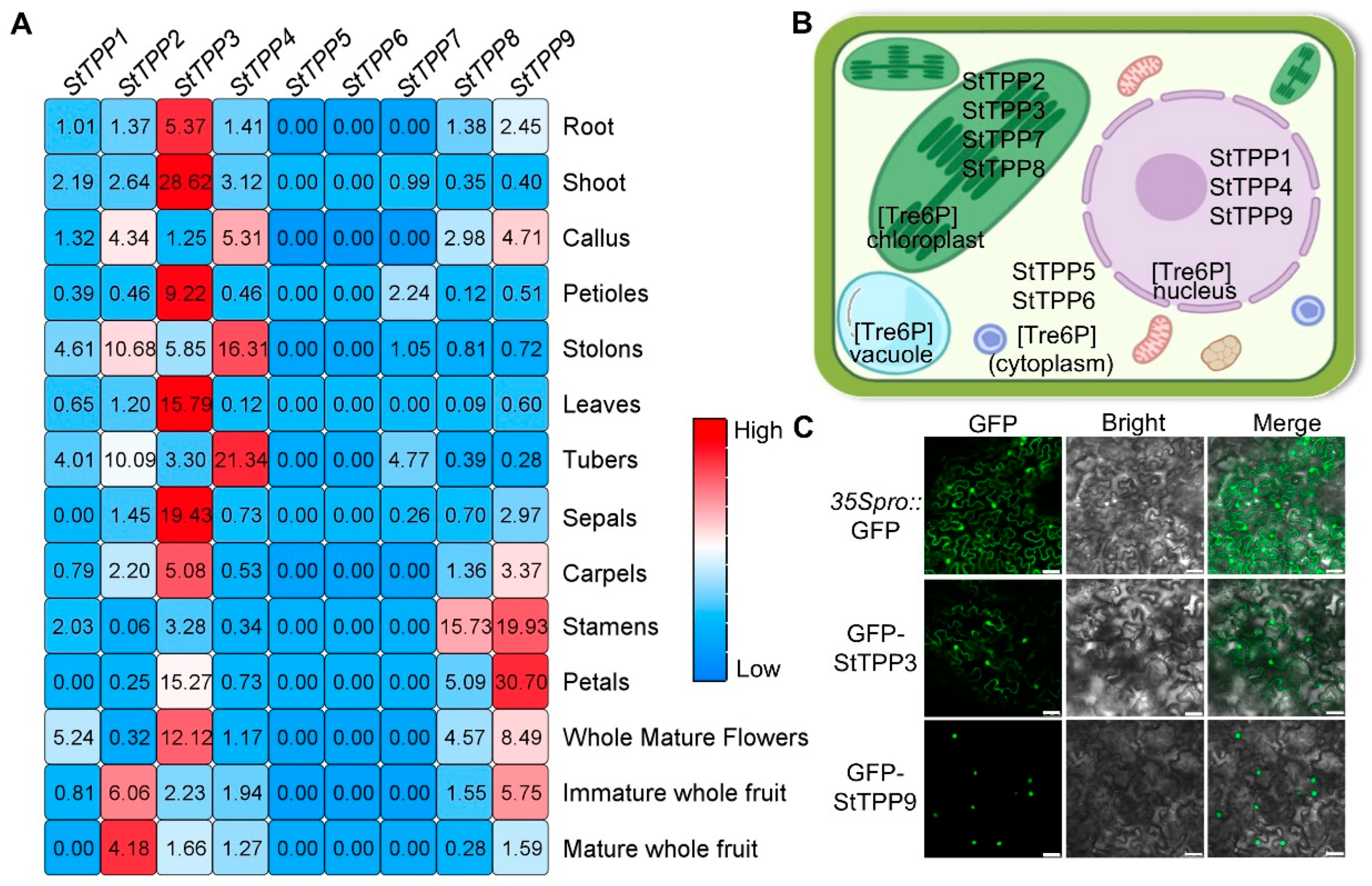 Plants 14 03300 g006 Plants 14 03300 g006