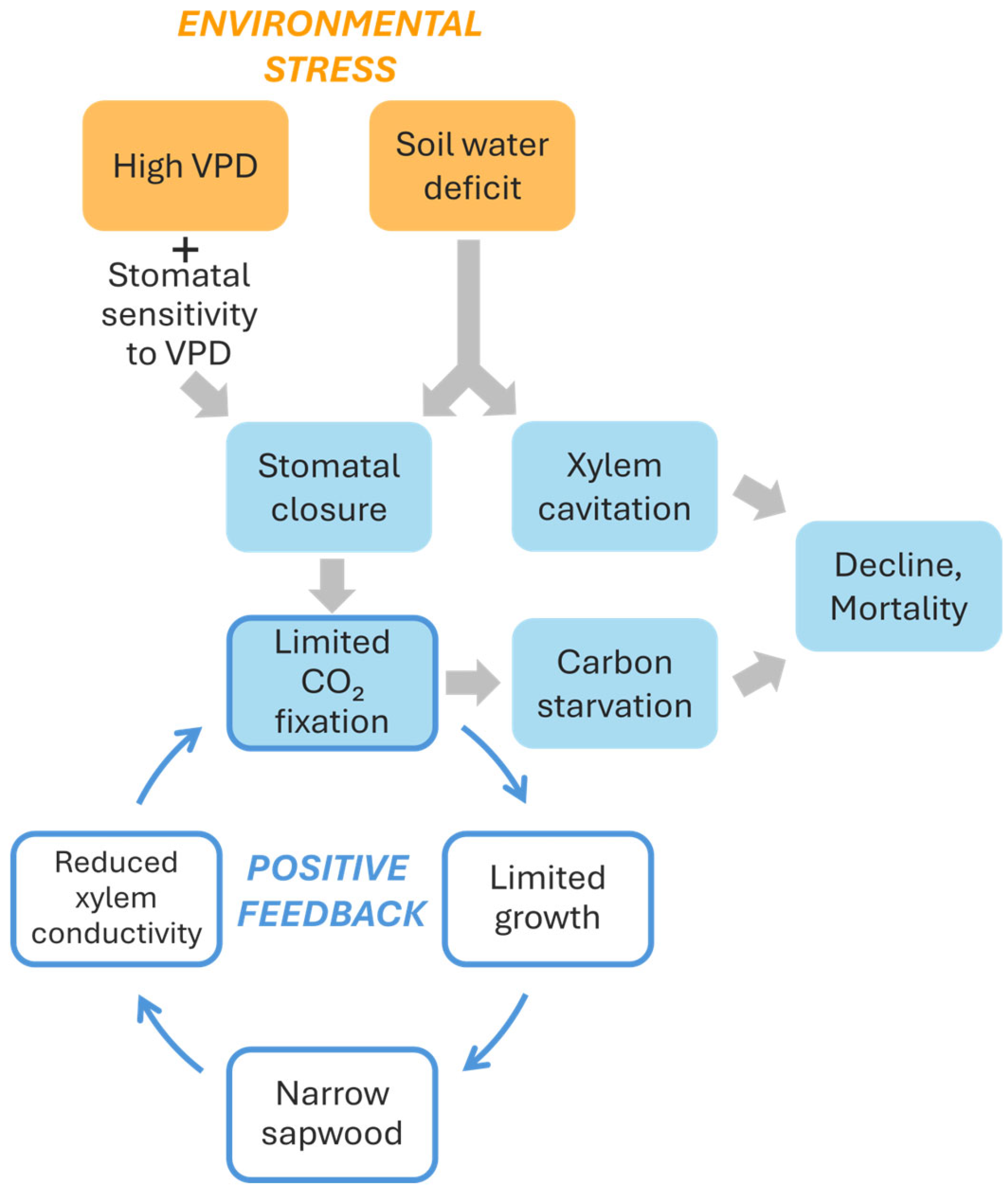 Plants 14 03308 g006