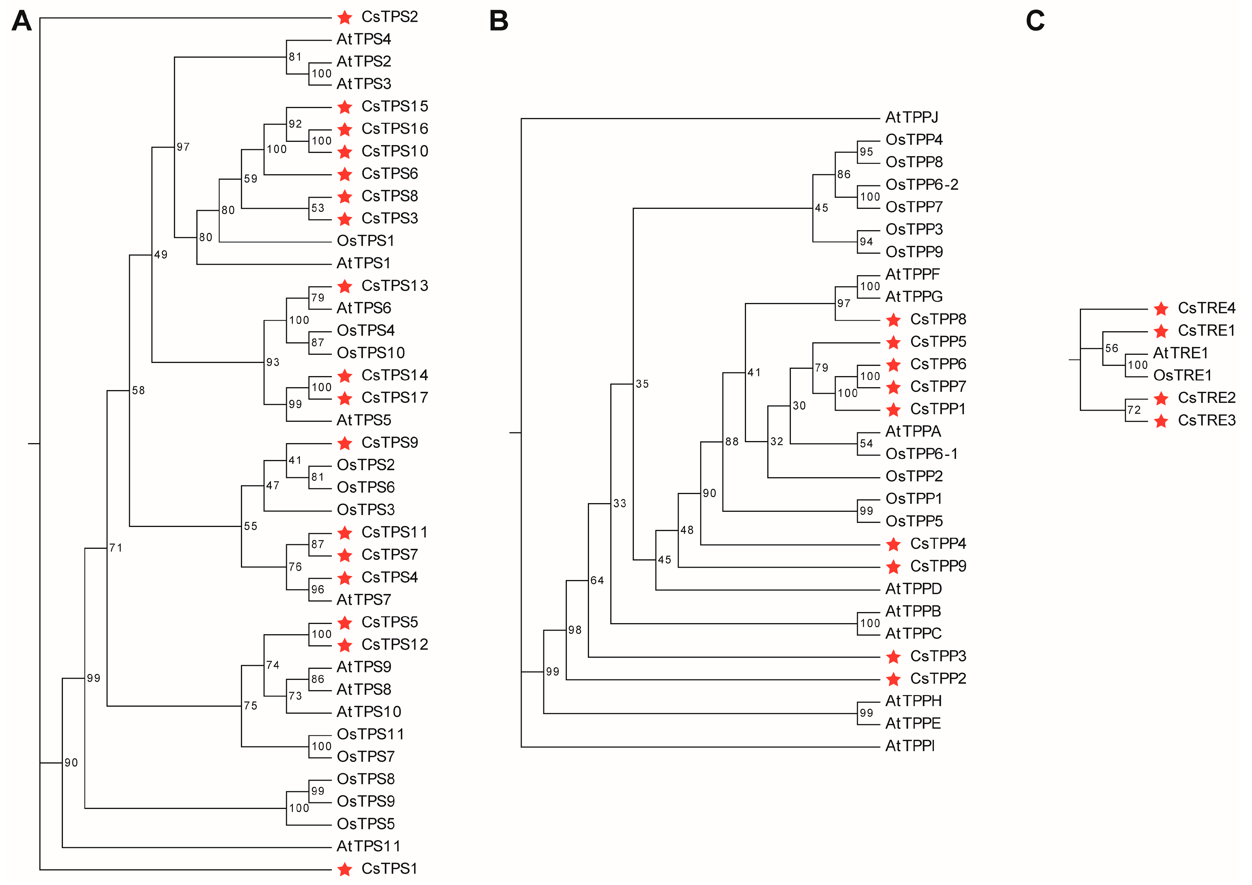 Plants 14 03309 g003
