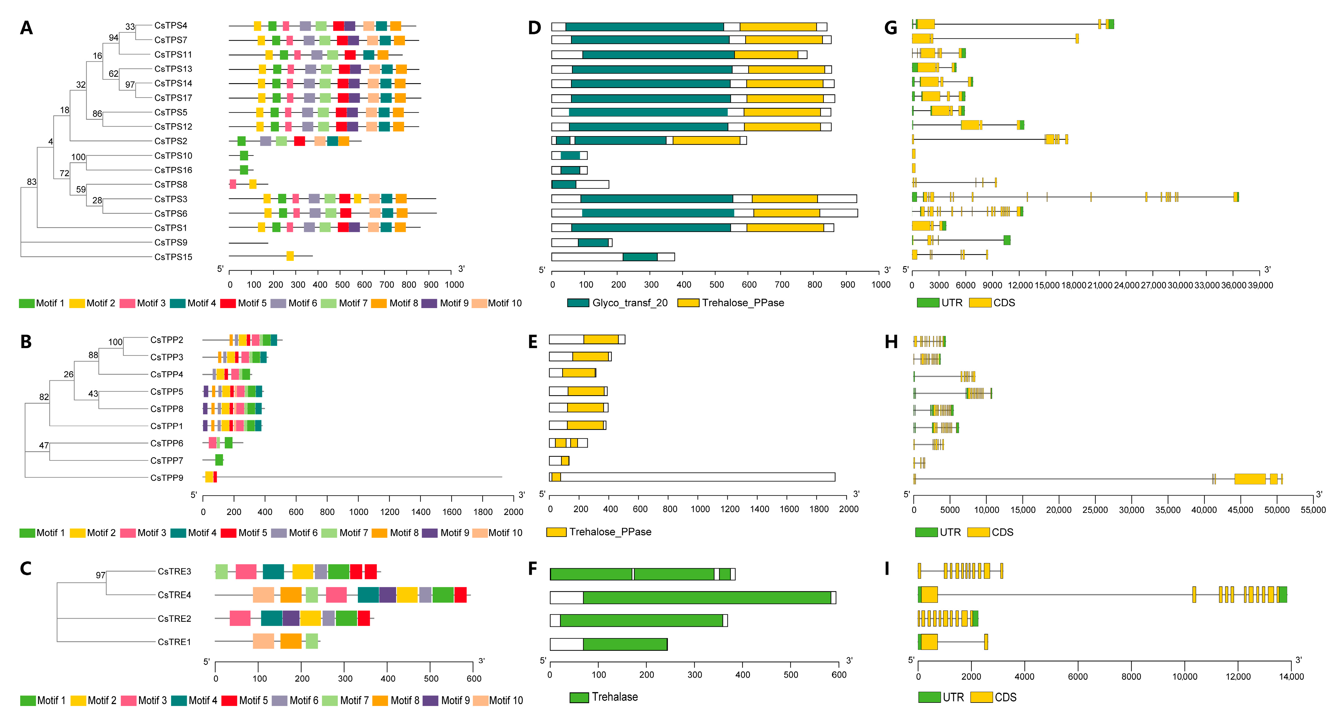 Plants 14 03309 g004
