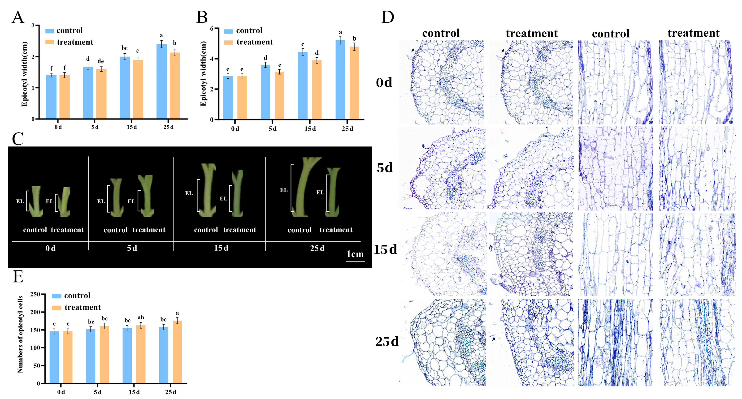 Plants 14 03311 g001 Plants 14 03311 g001