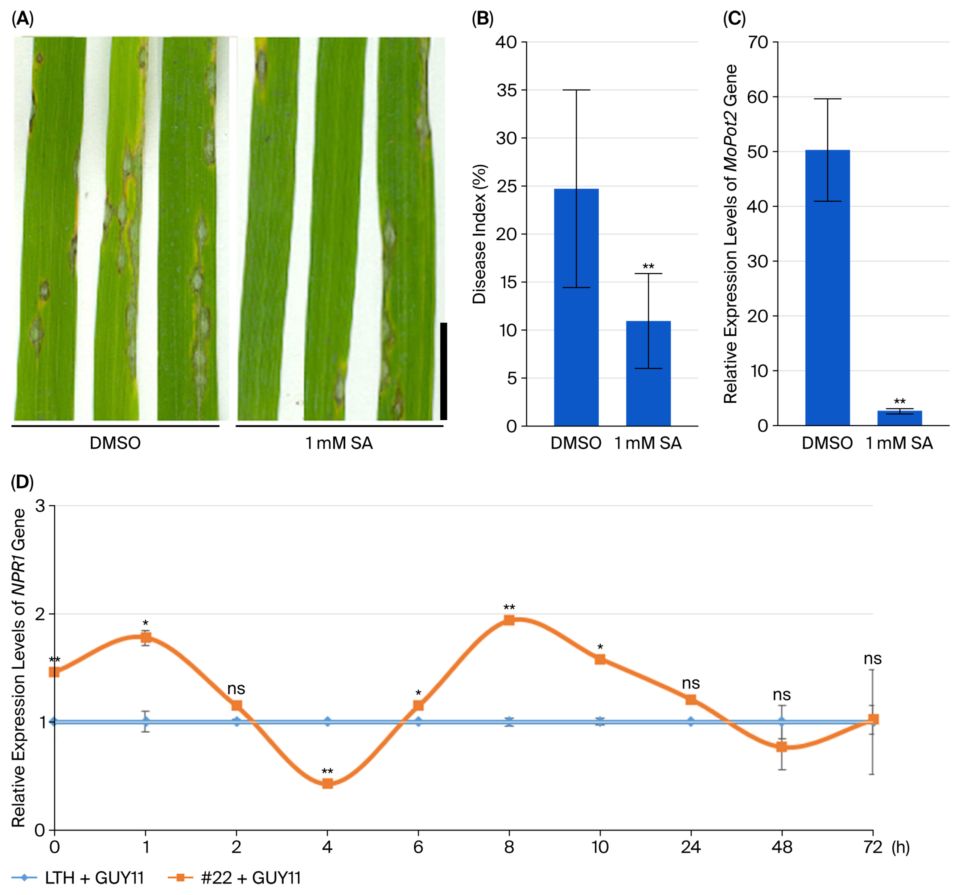 Plants 14 03312 g002