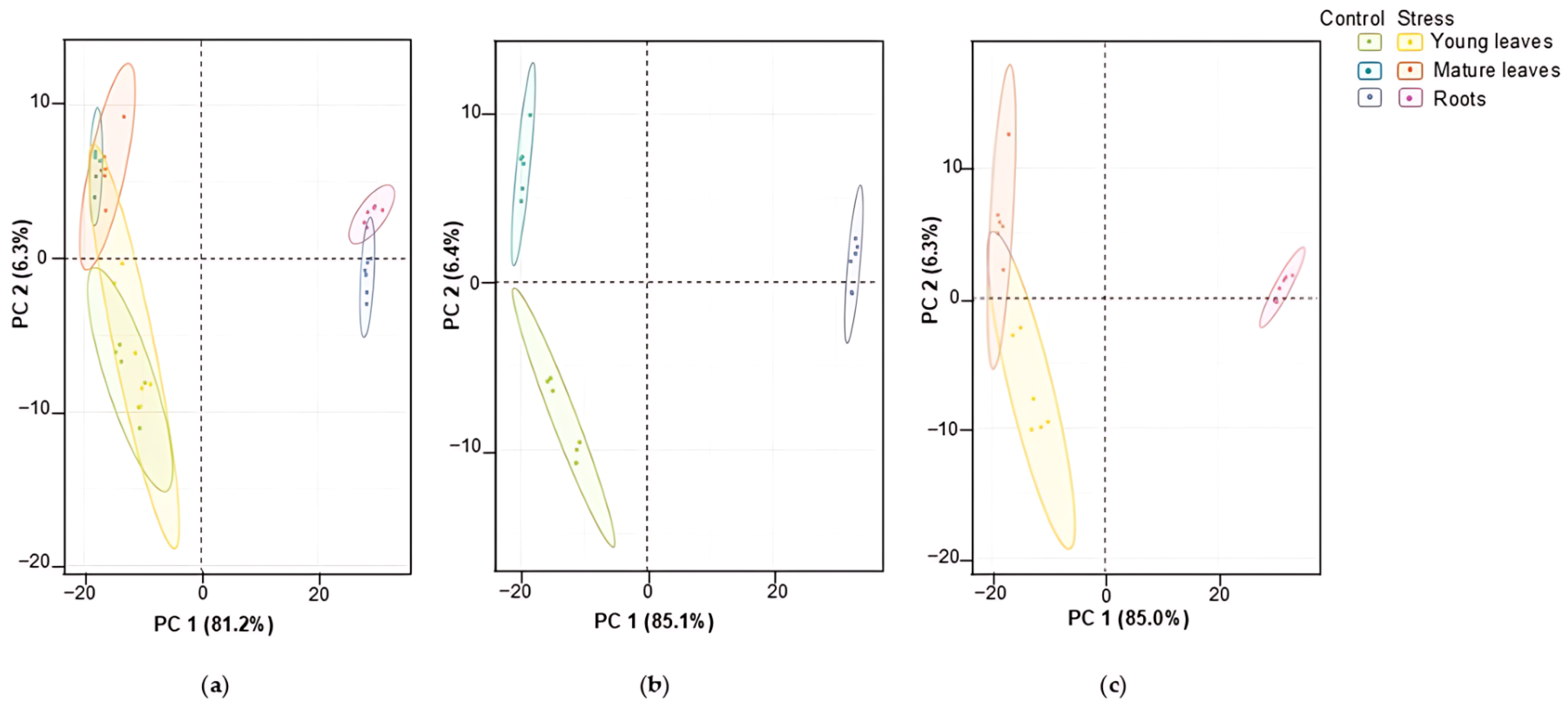 Plants 14 03315 g002