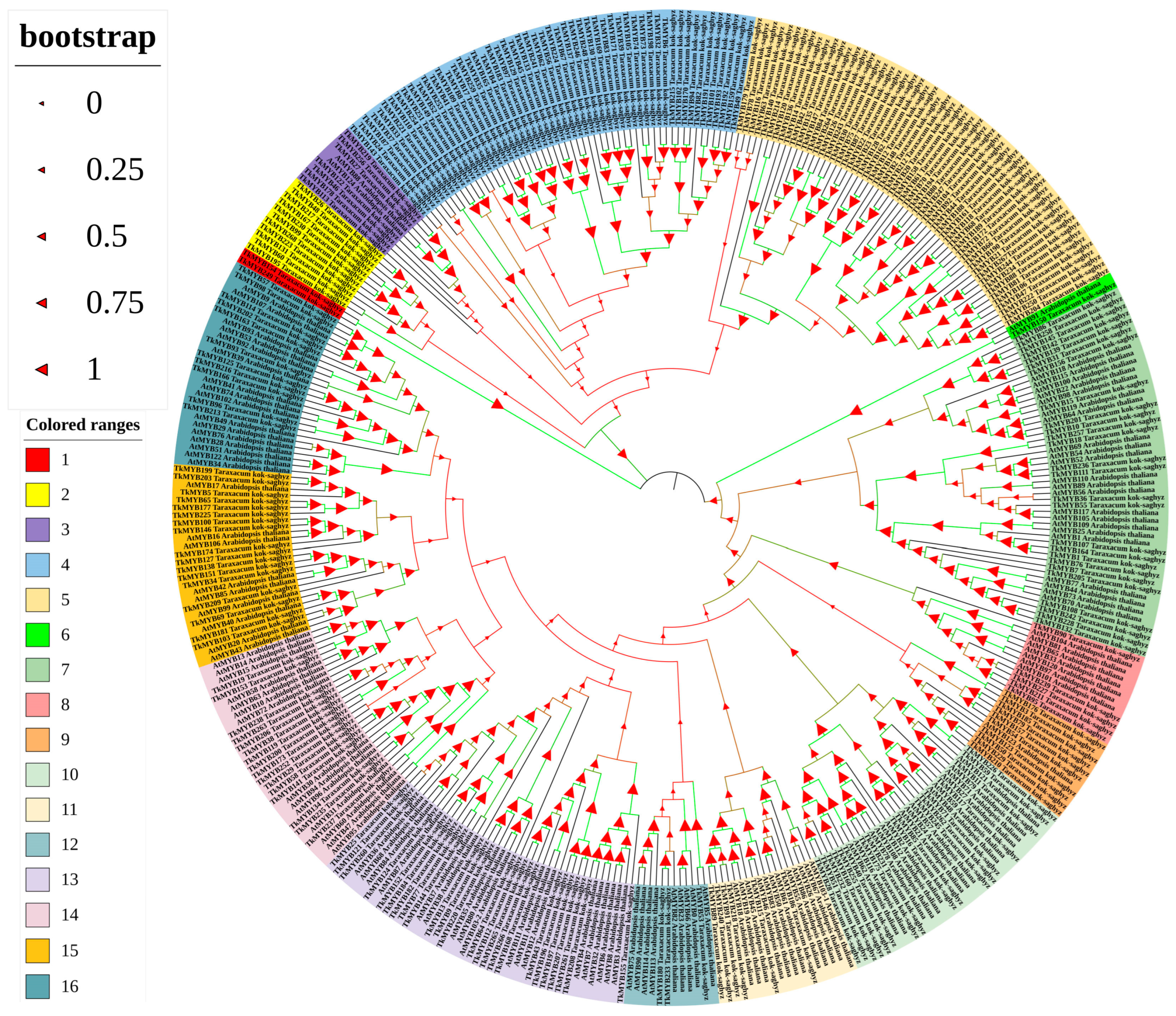 Plants 14 03323 g001 Plants 14 03323 g001