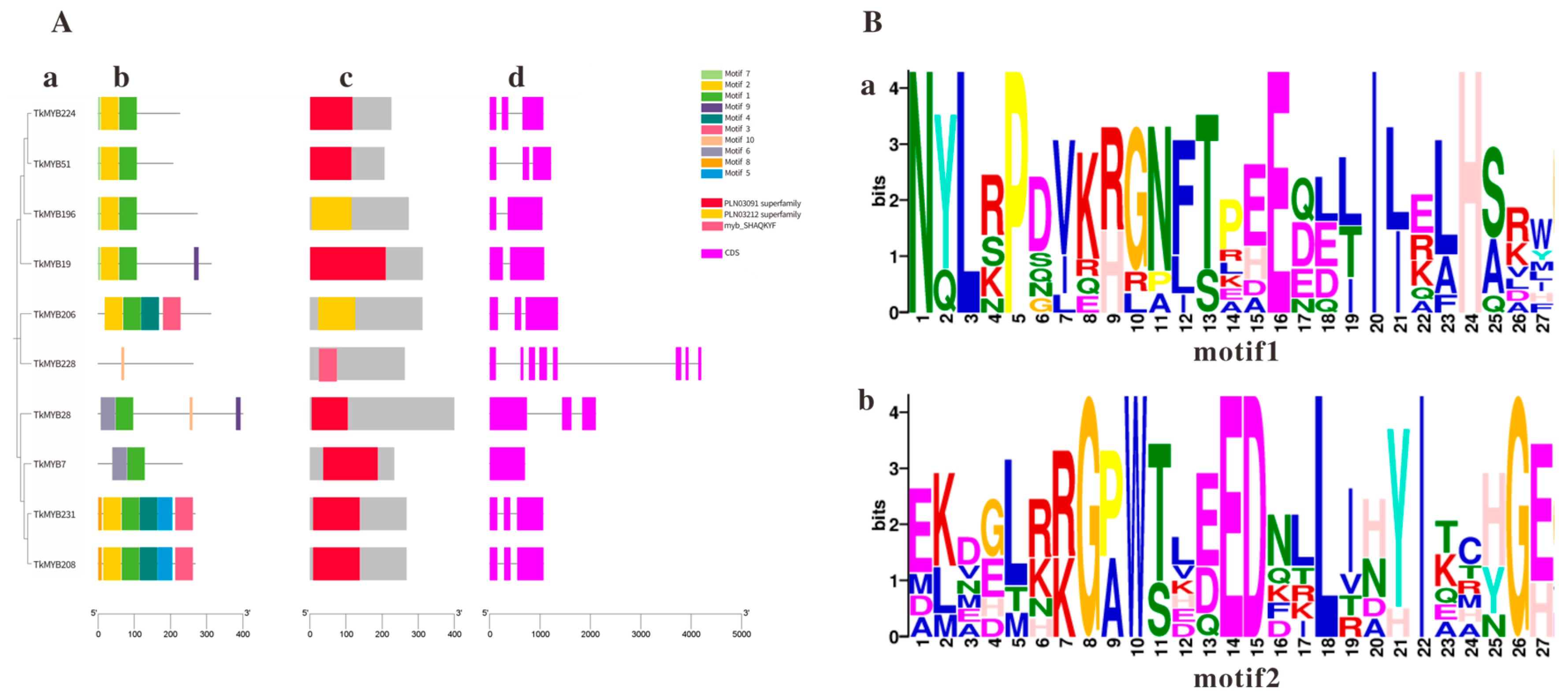Plants 14 03323 g003 Plants 14 03323 g003