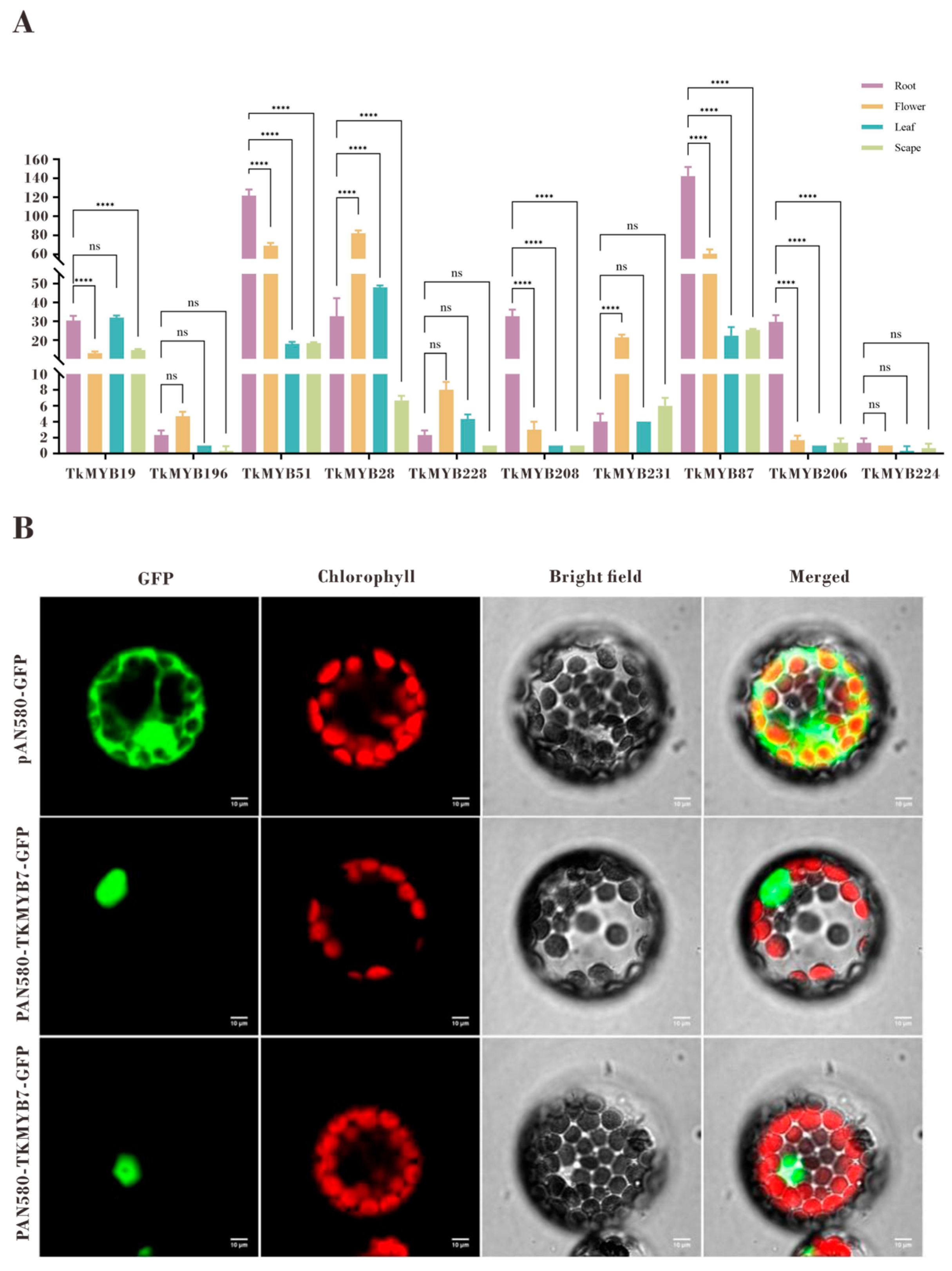 Plants 14 03323 g004 Plants 14 03323 g004