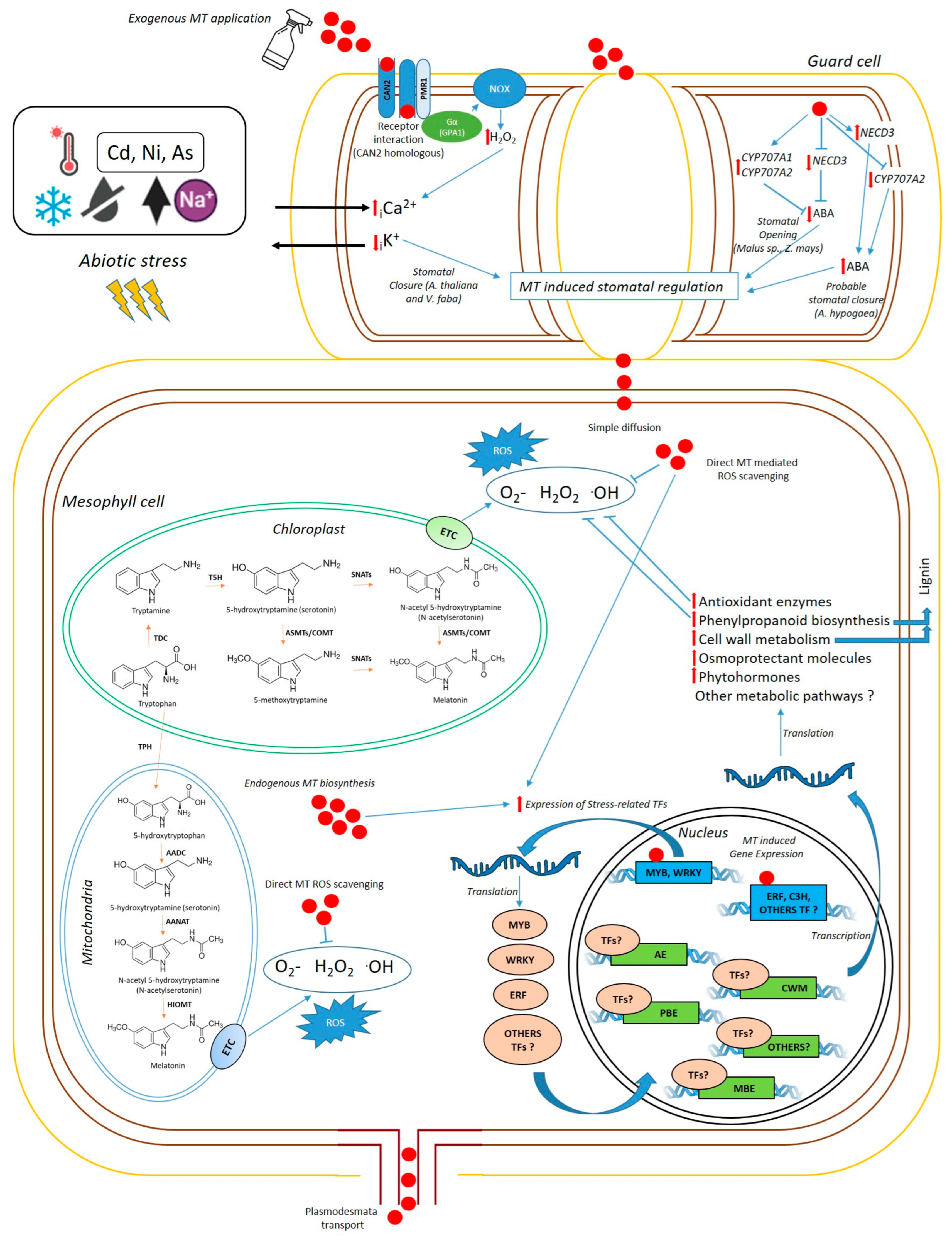 Plants 14 03324 g001 Plants 14 03324 g001