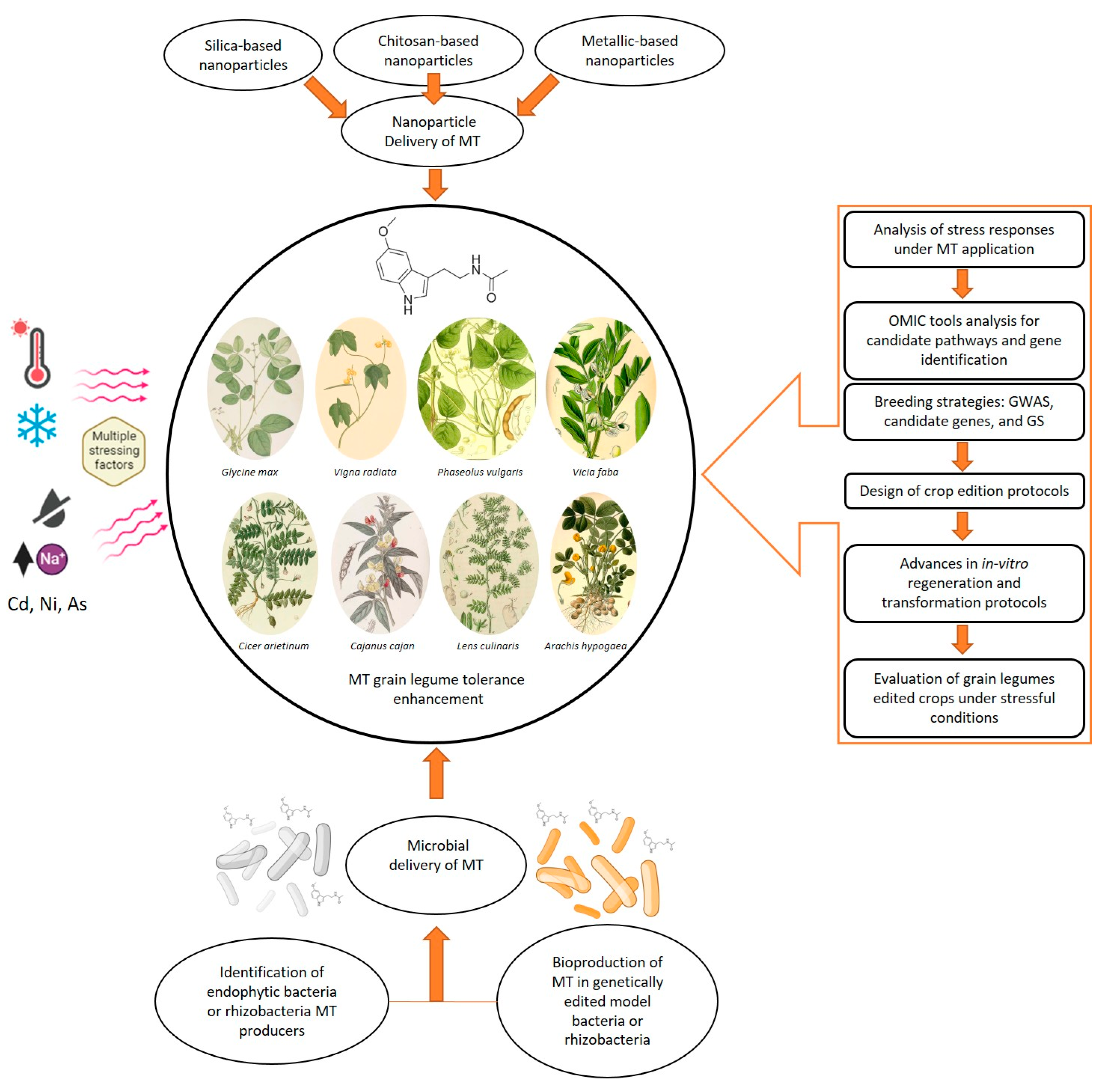 Plants 14 03324 g002 Plants 14 03324 g002