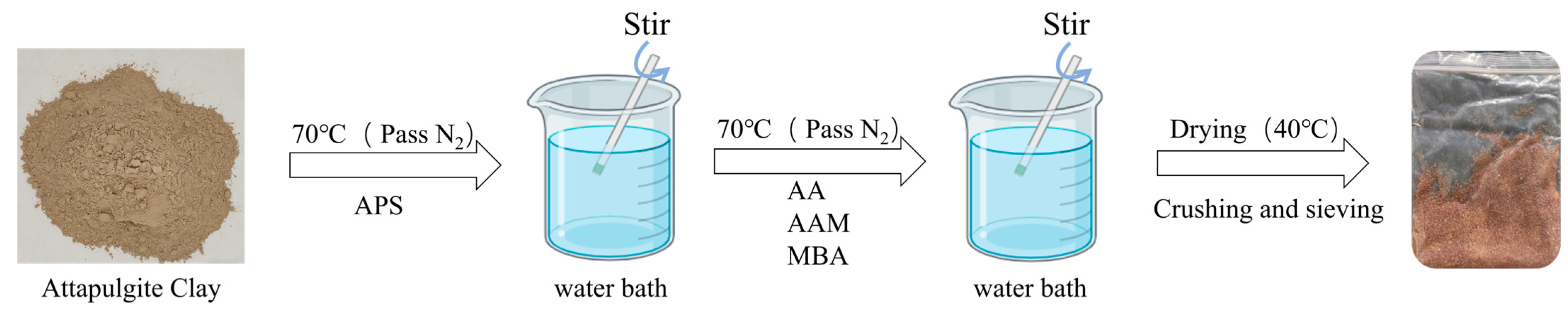 Plants 14 03330 g012 Plants 14 03330 g012