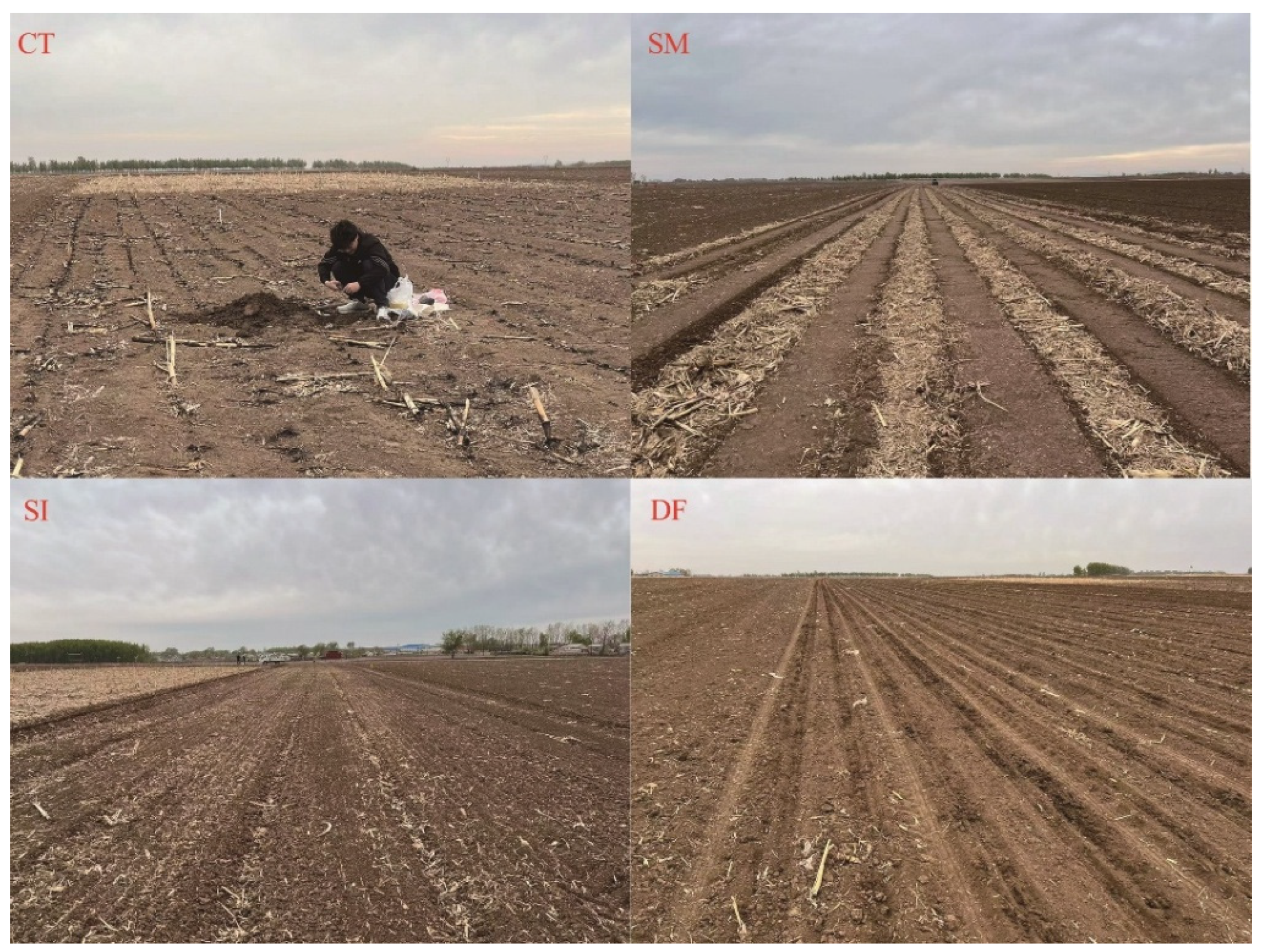 Plants 14 03331 g006 Plants 14 03331 g006