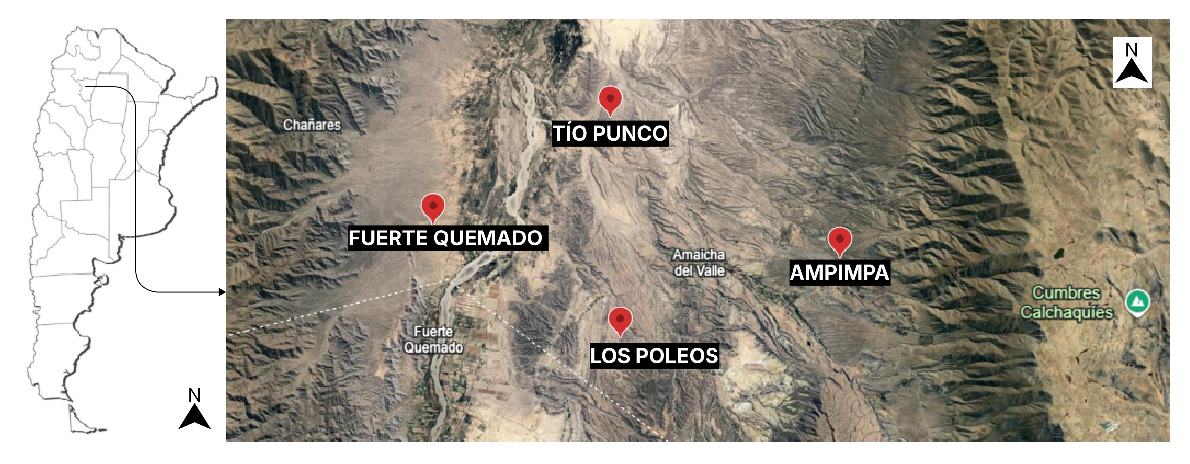 Plants 14 03332 g007