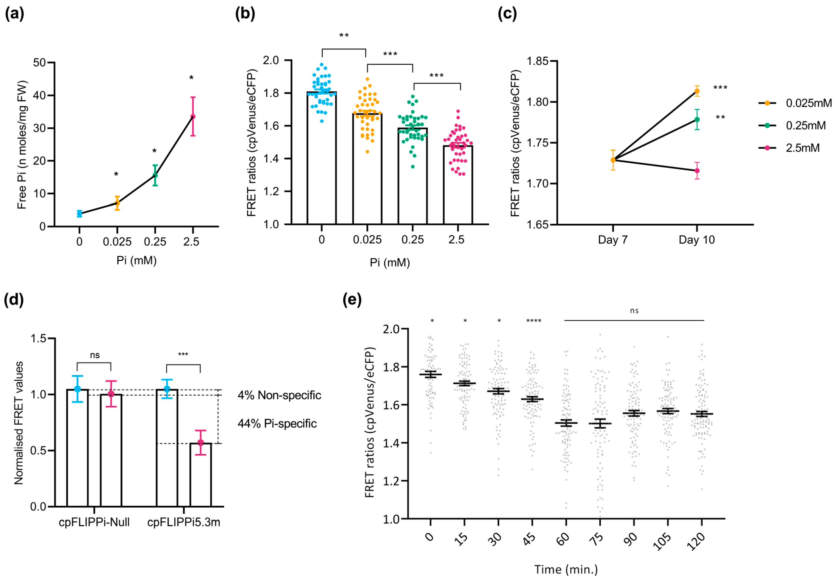 Plants 14 03334 g003