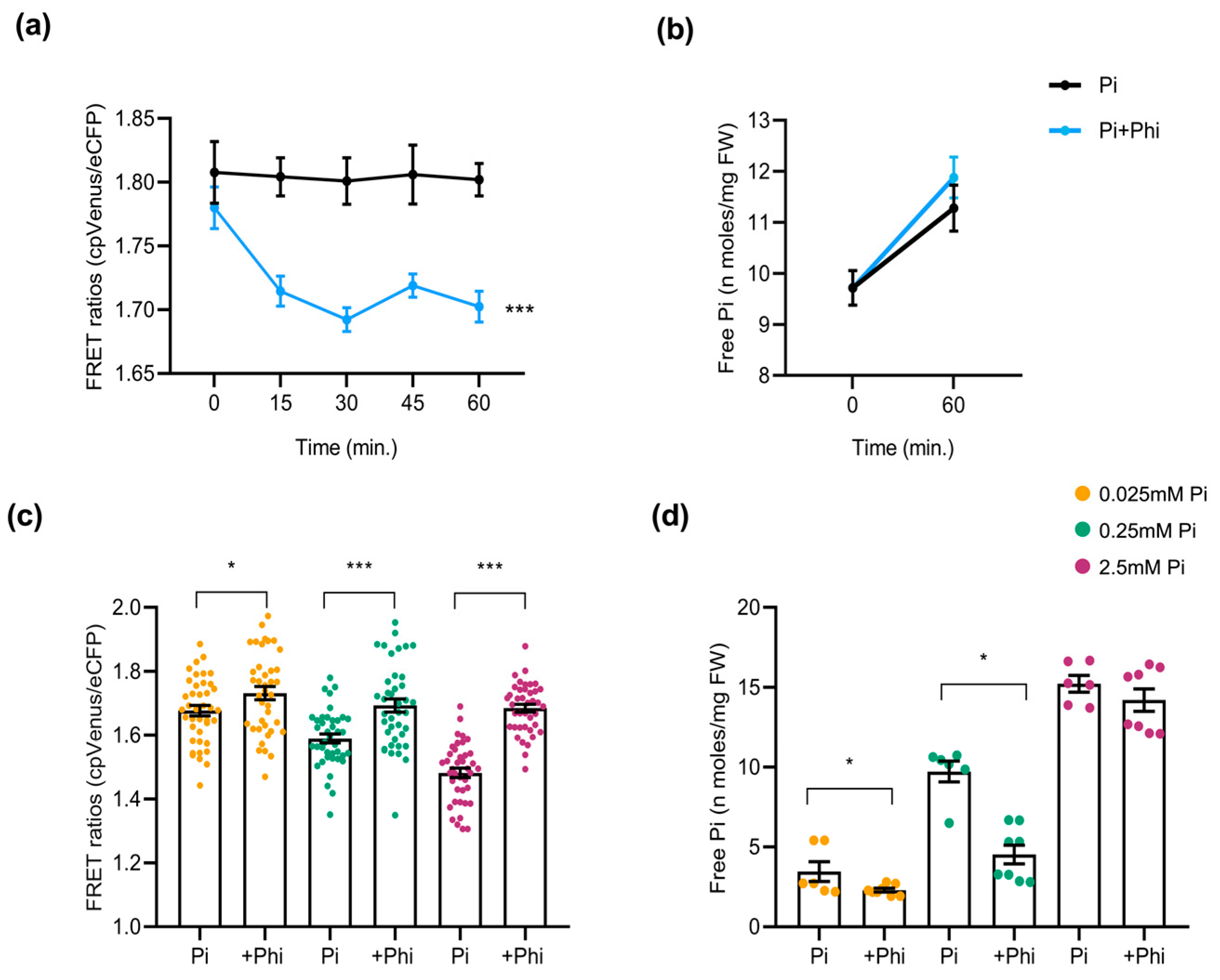 Plants 14 03334 g007