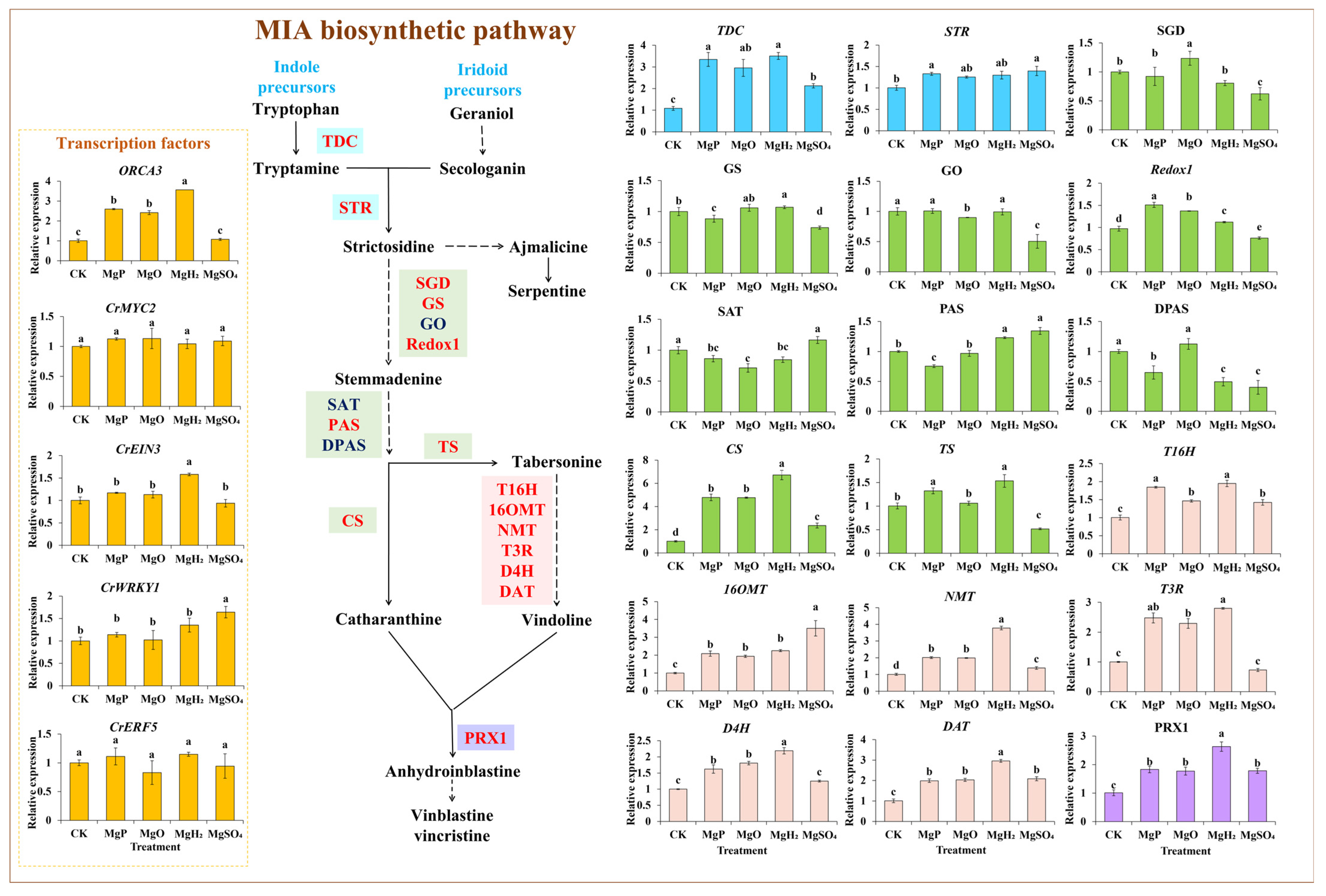 Plants 14 03336 g004 Plants 14 03336 g004