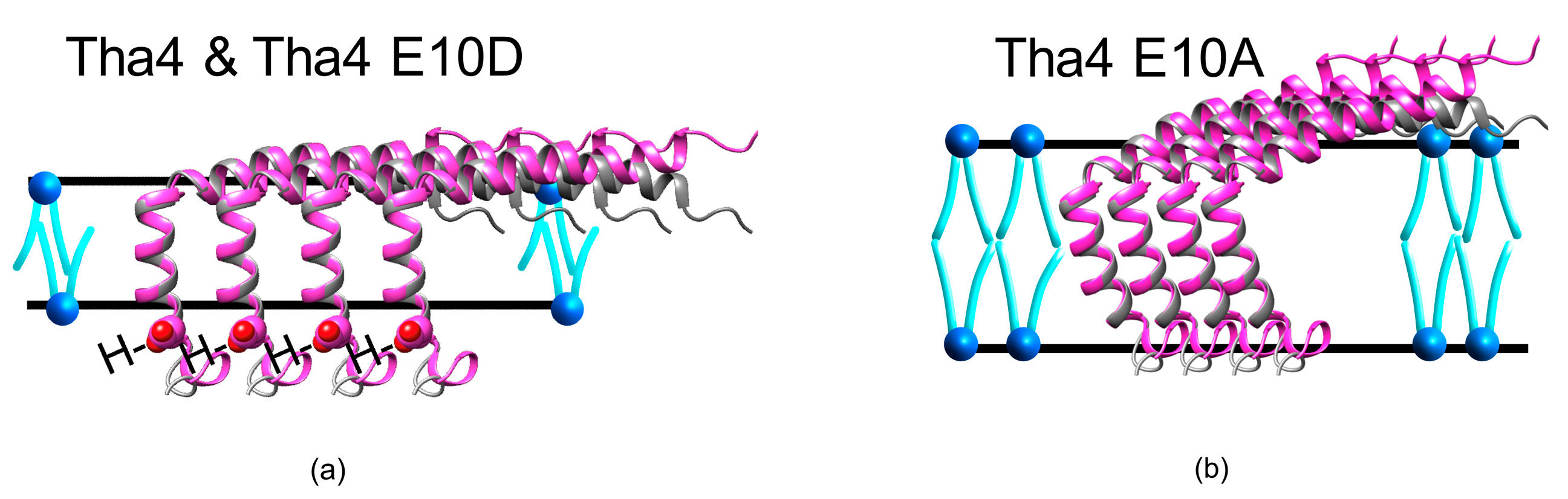 Plants 14 03338 g009