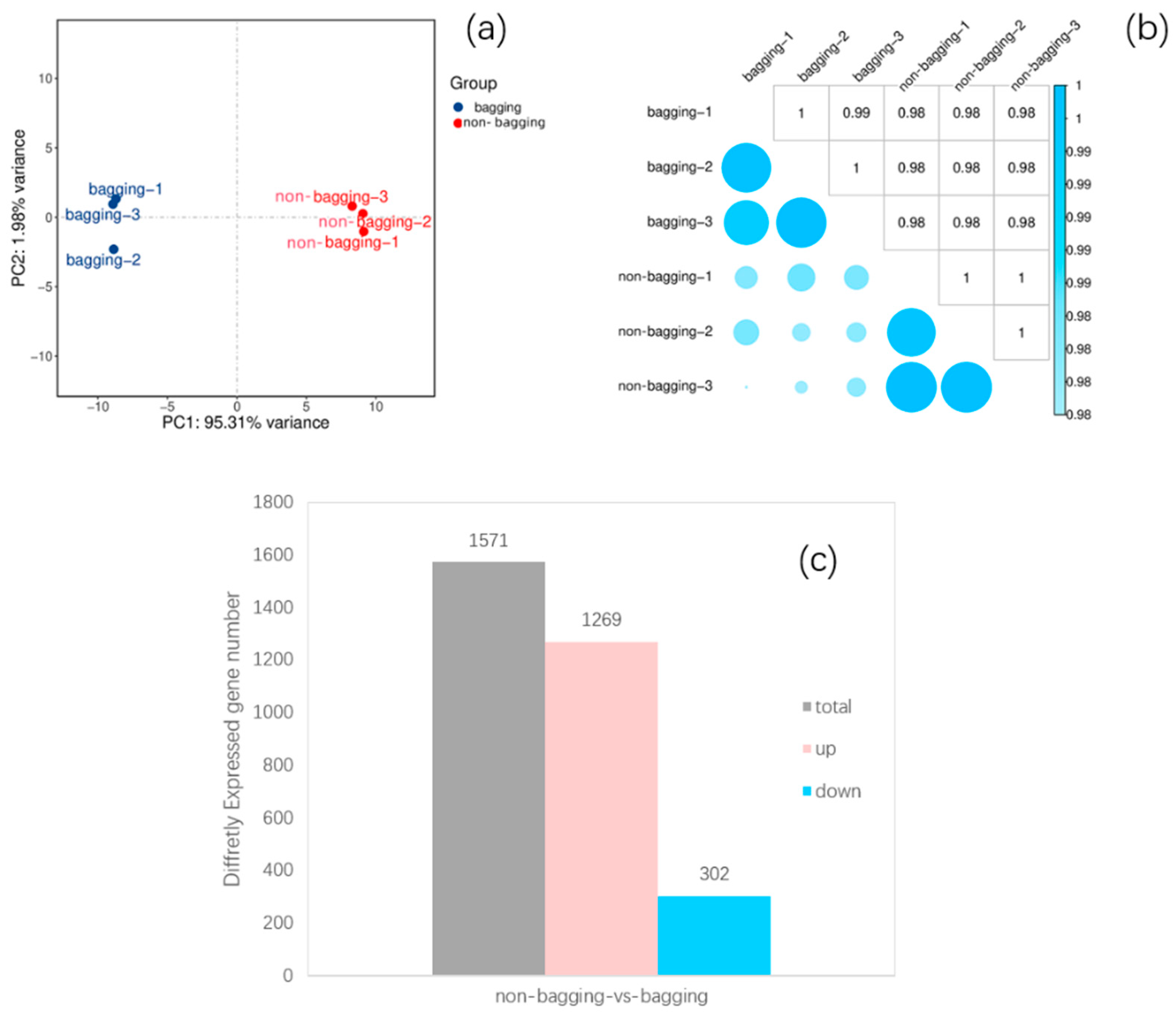 Plants 14 03339 g004