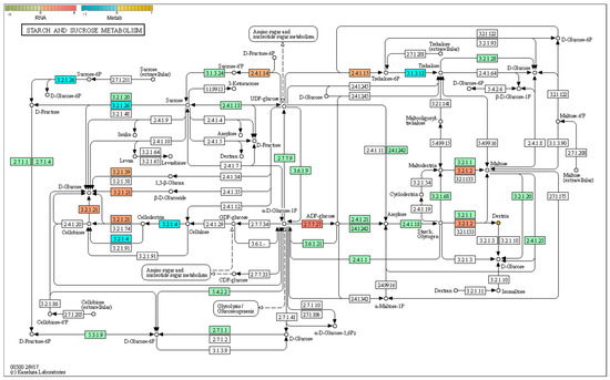 Integrated Metabolomic and Transcriptomic Analysis Reveals the