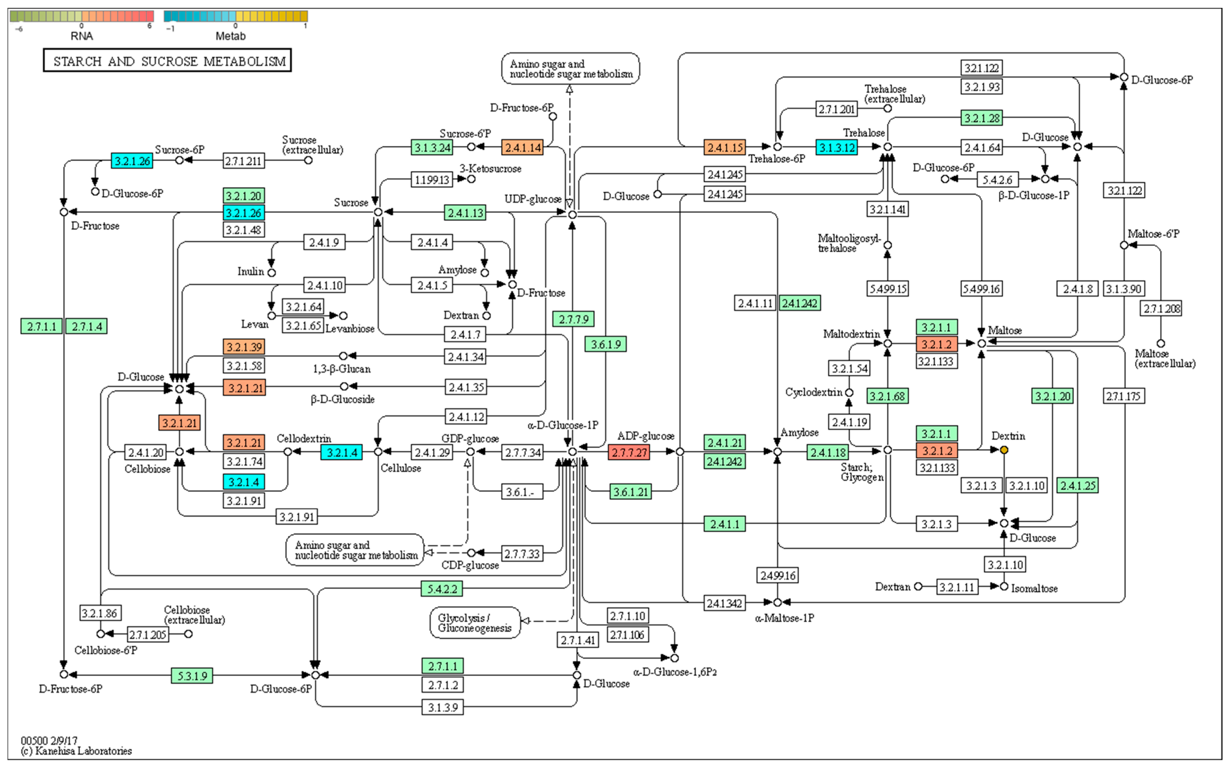 Plants 14 03339 g009