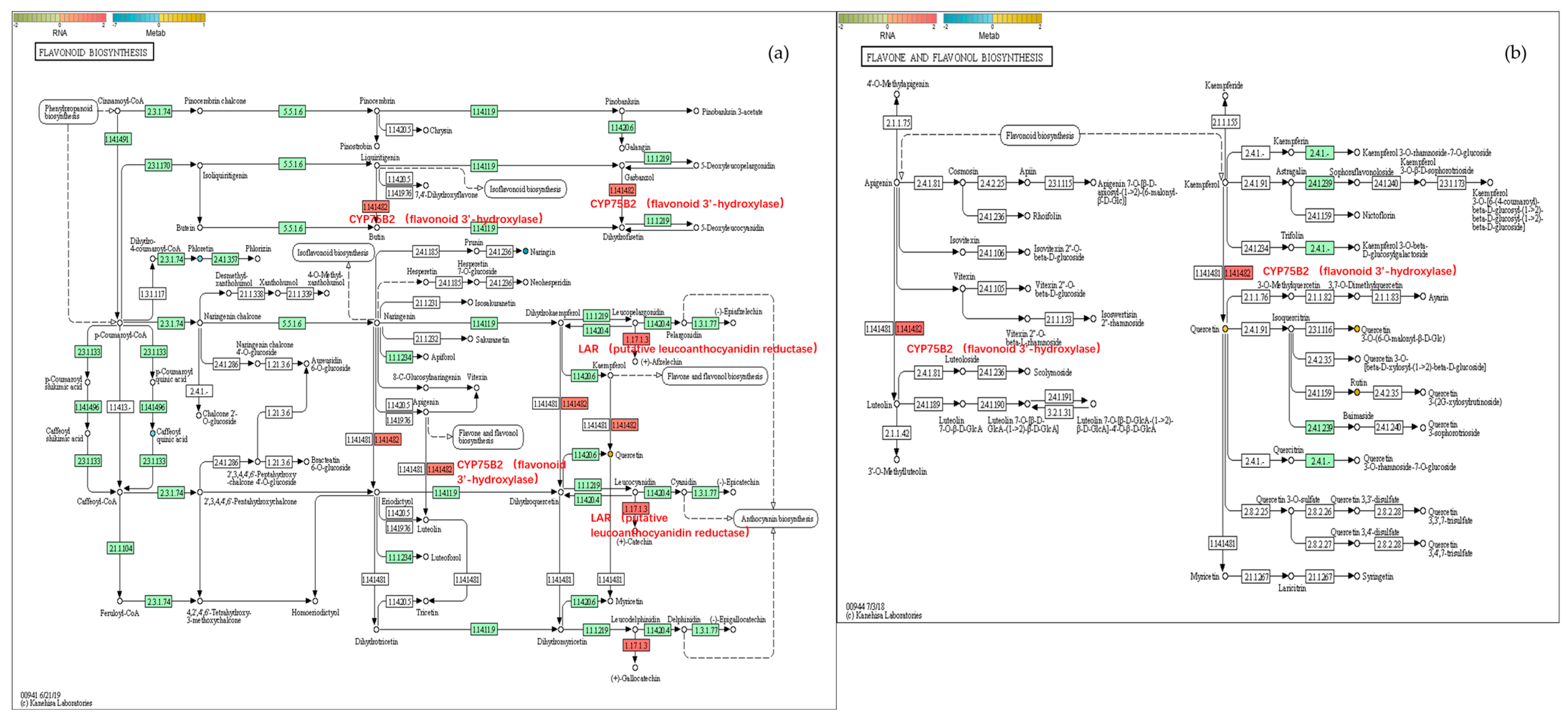 Plants 14 03339 g010