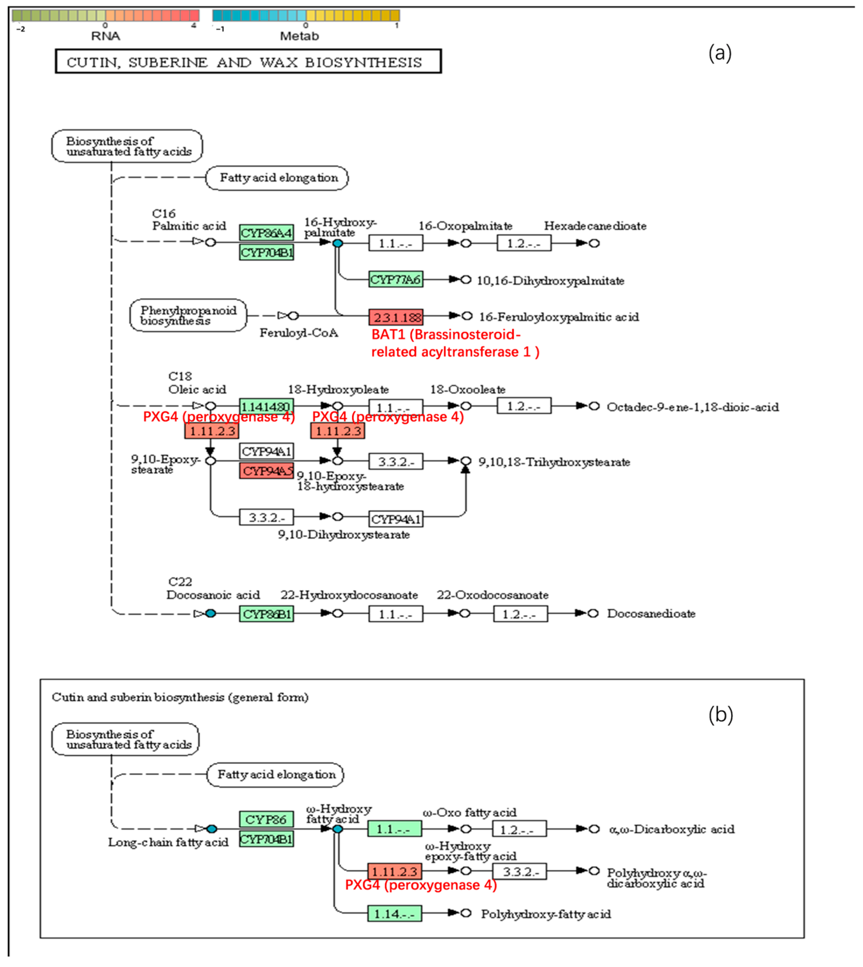 Plants 14 03339 g011