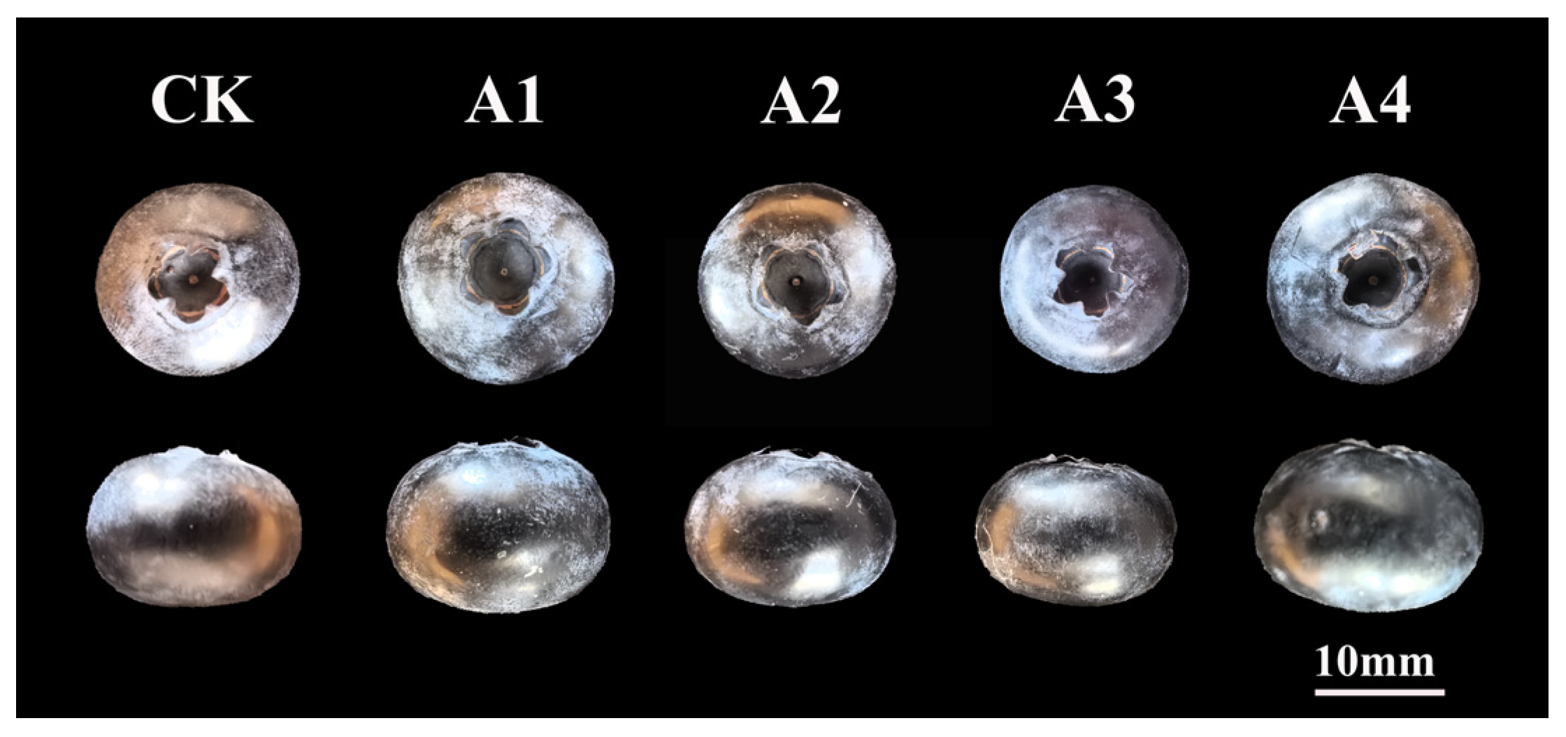 Plants 14 03341 g001