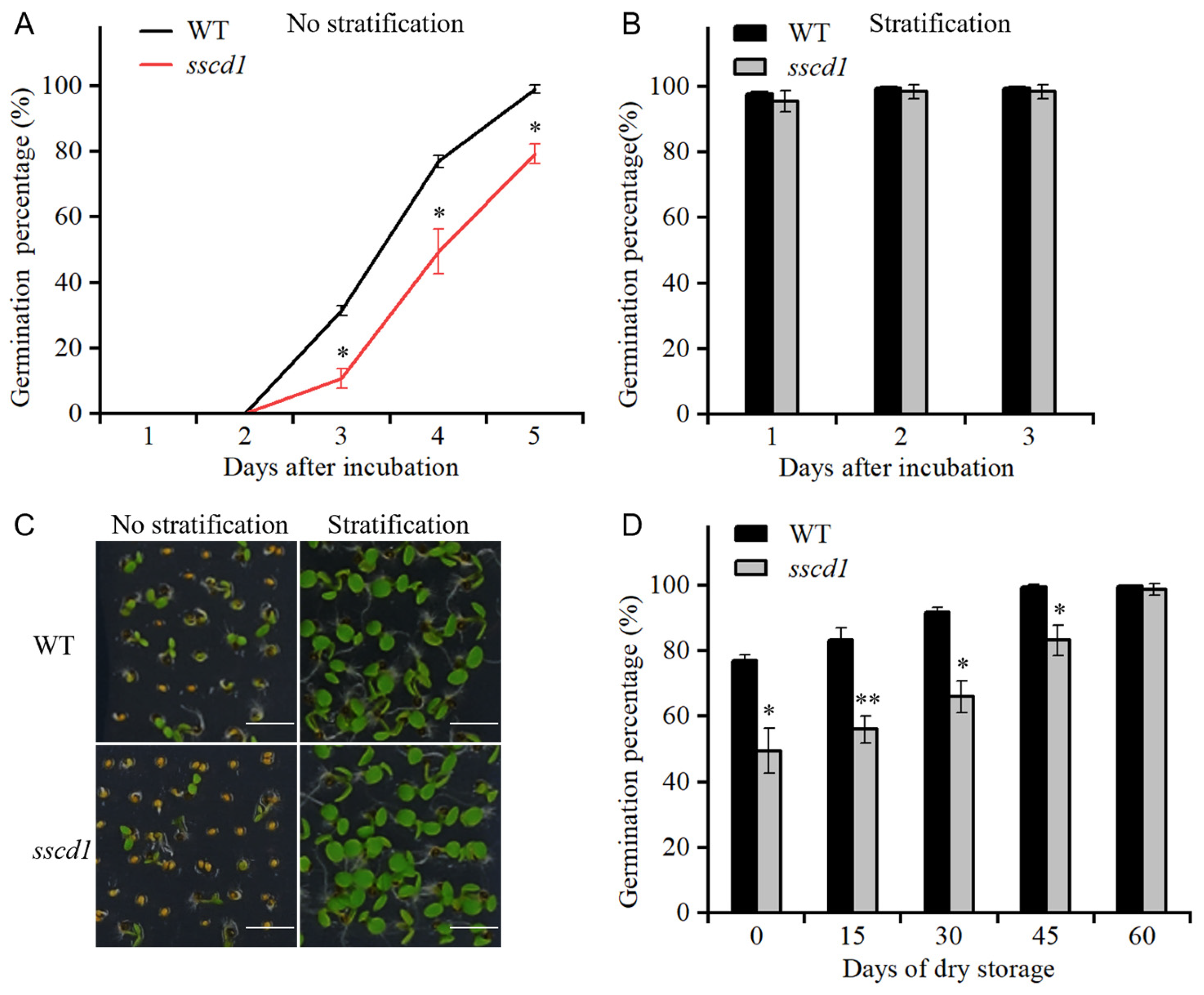 Plants 14 03342 g001
