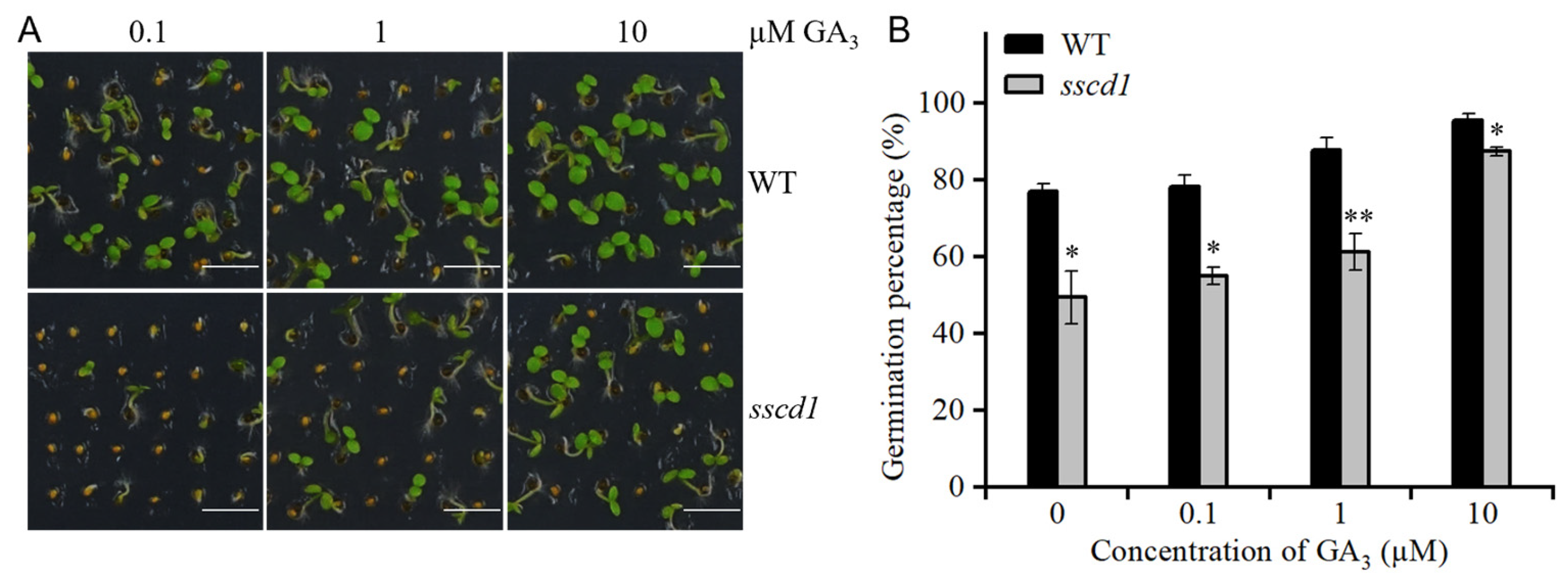 Plants 14 03342 g002
