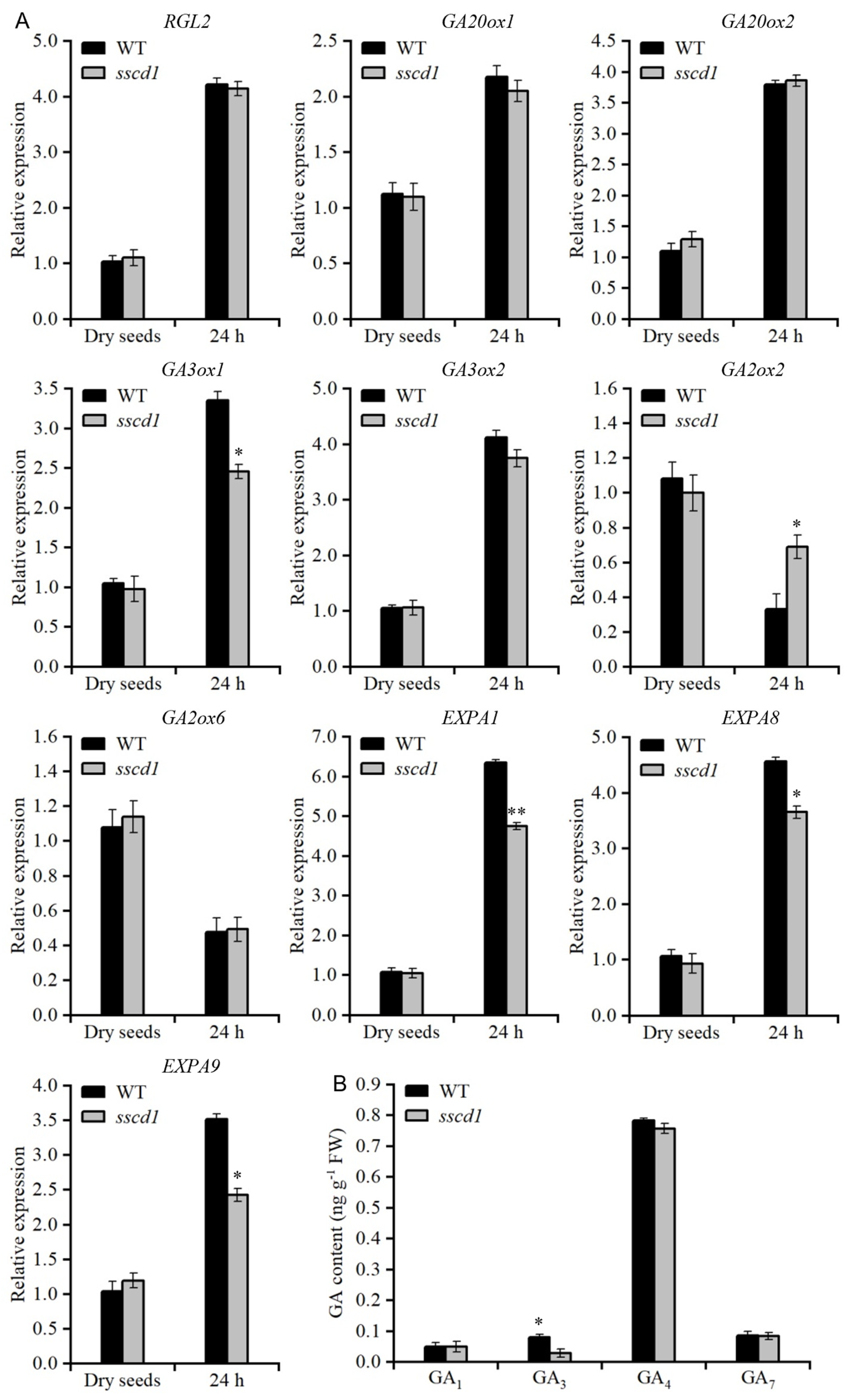 Plants 14 03342 g003