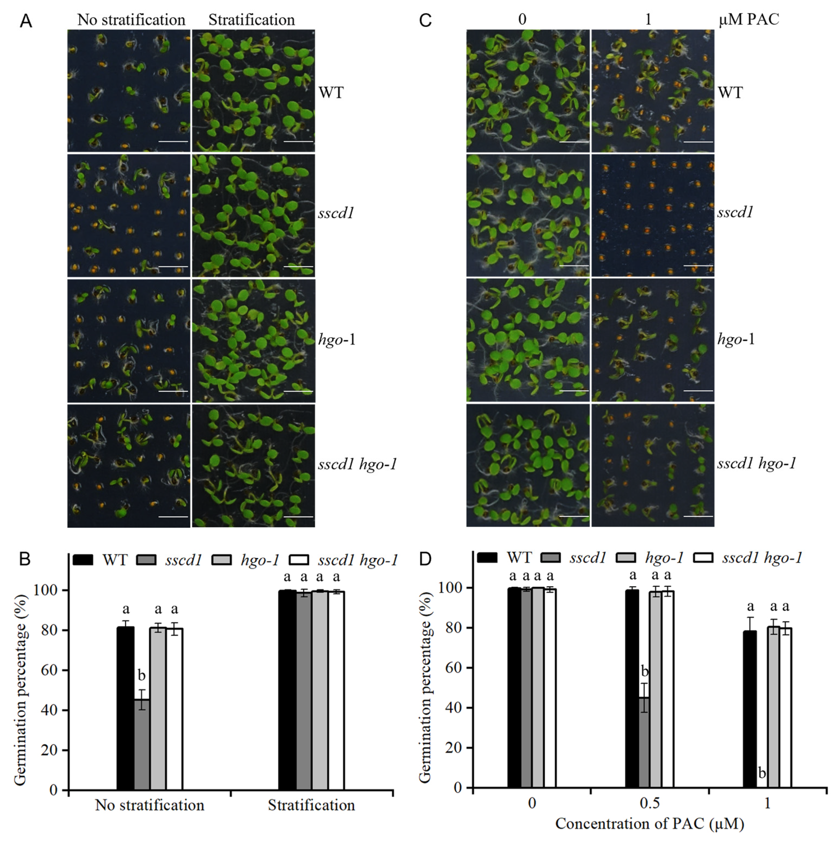 Plants 14 03342 g007