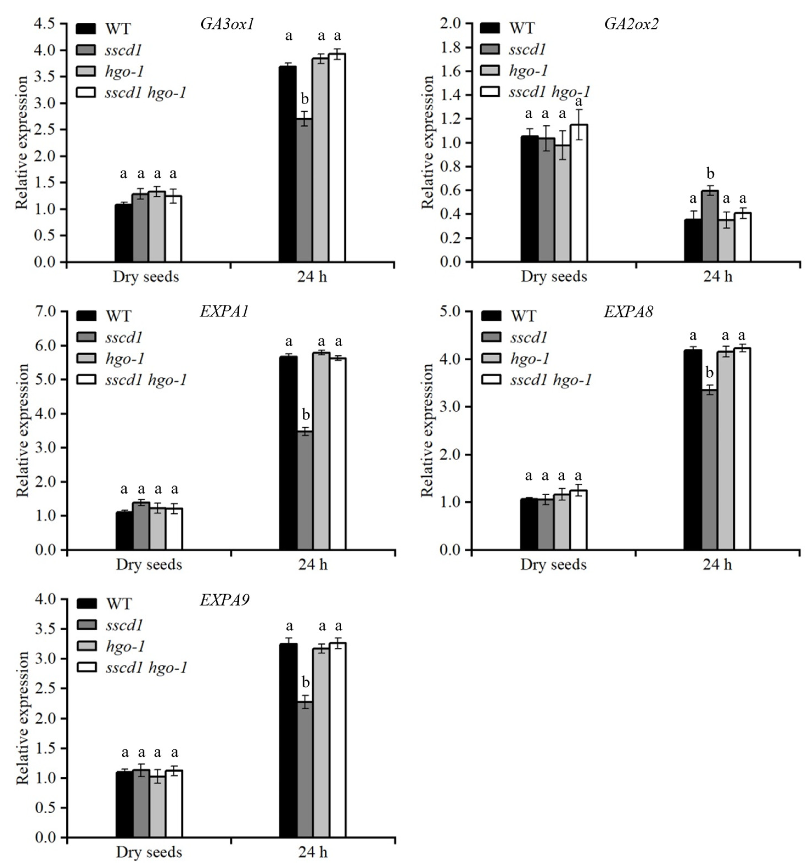 Plants 14 03342 g008