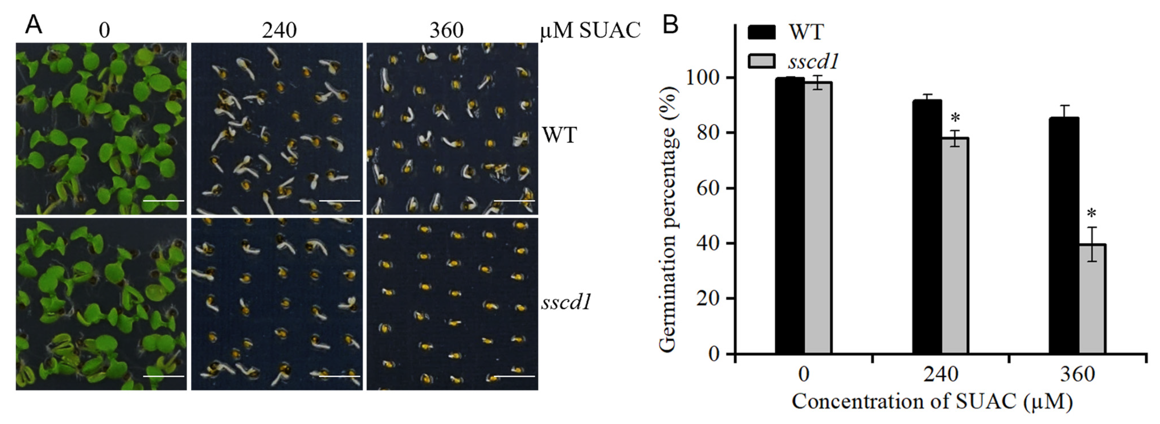 Plants 14 03342 g009