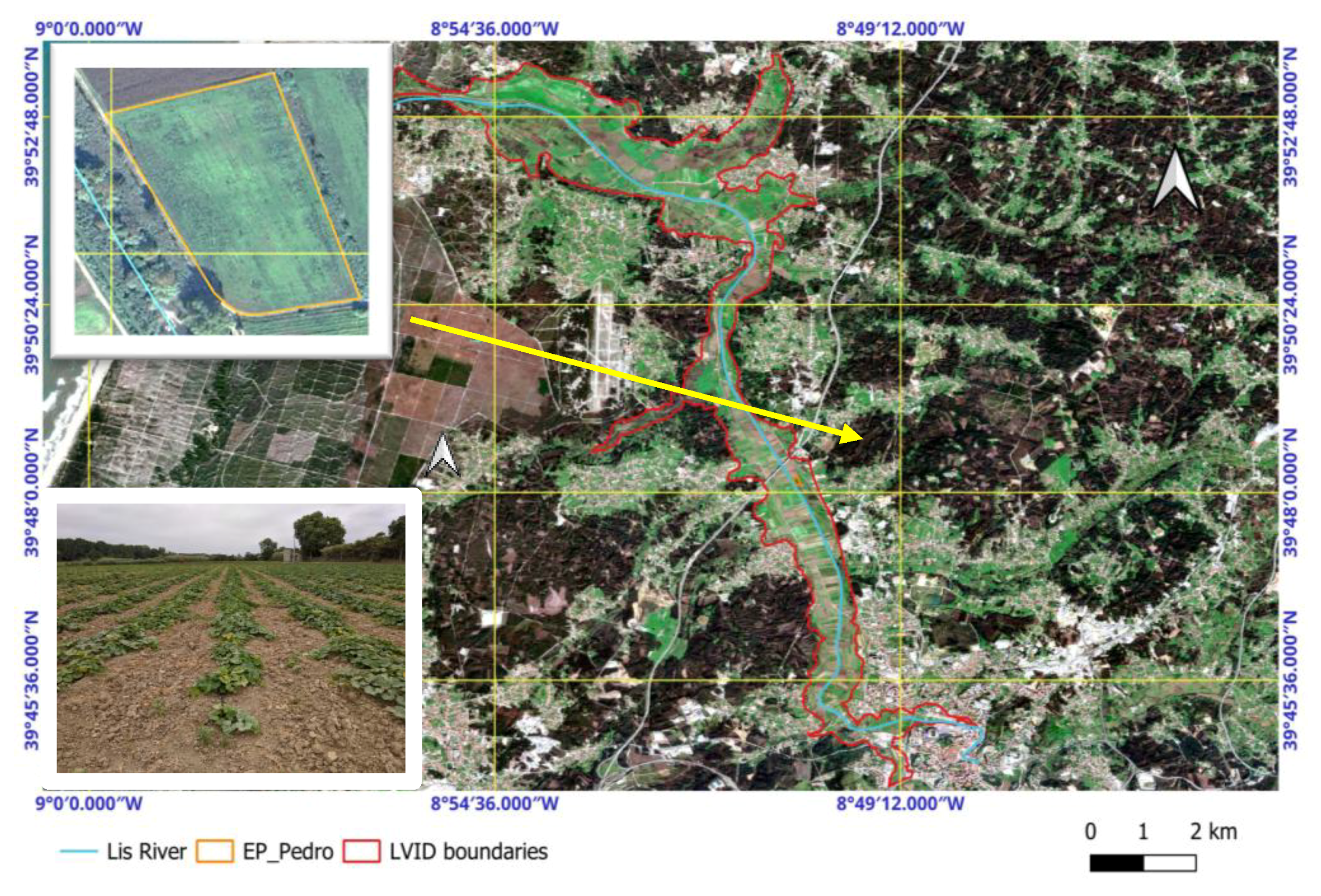 Plants 14 03343 g009 Plants 14 03343 g009