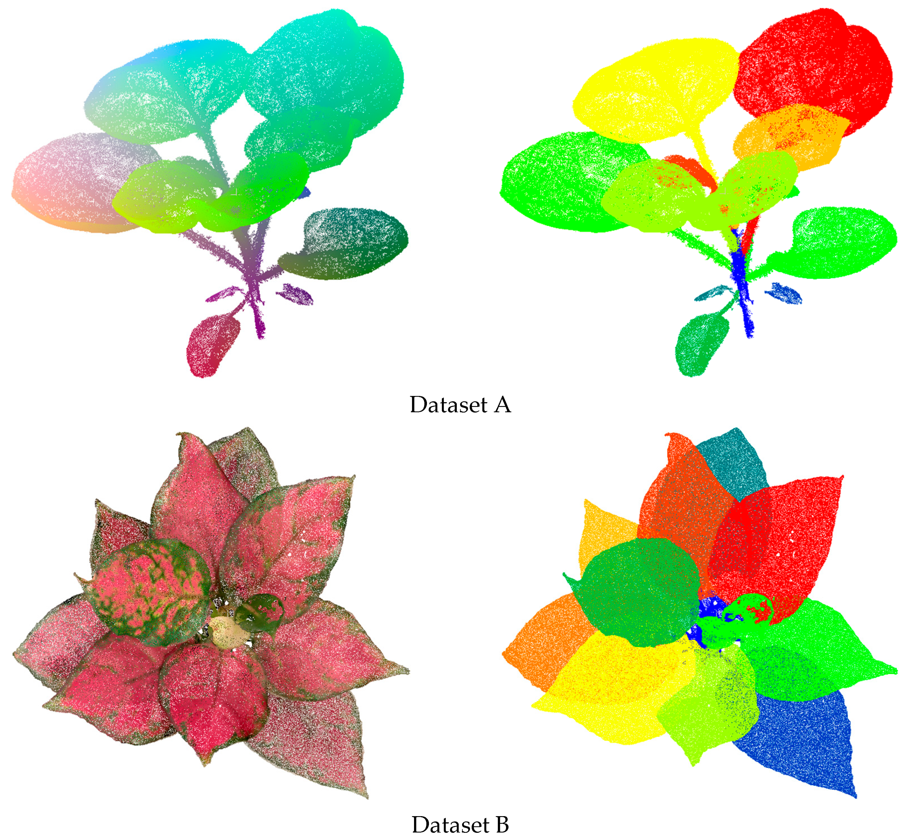 Plants 14 03349 g005 Plants 14 03349 g005