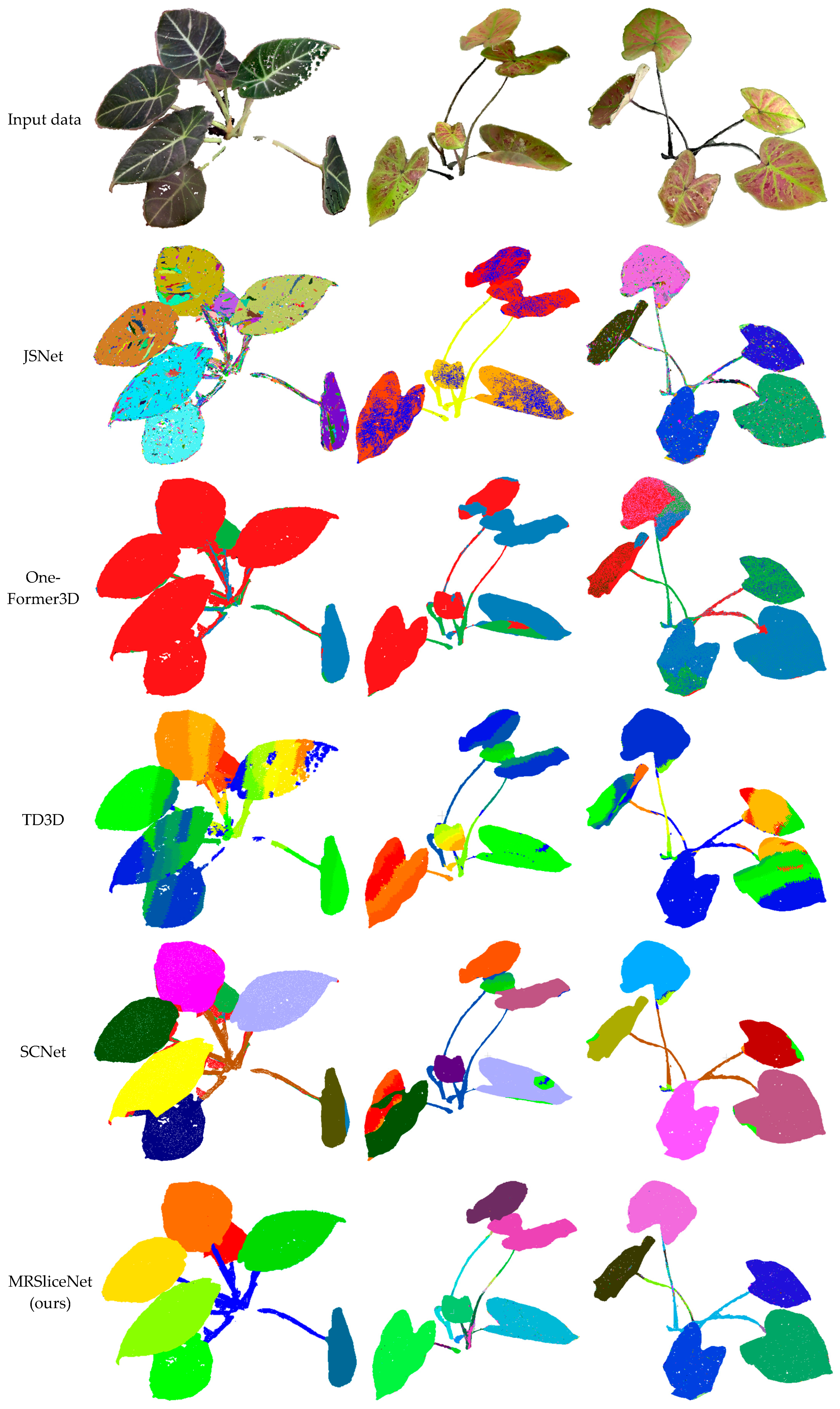 Plants 14 03349 g007 Plants 14 03349 g007