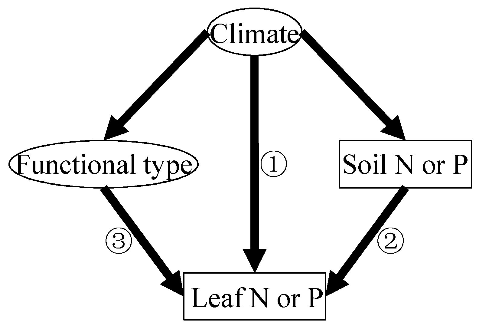 Plants 14 03356 g001