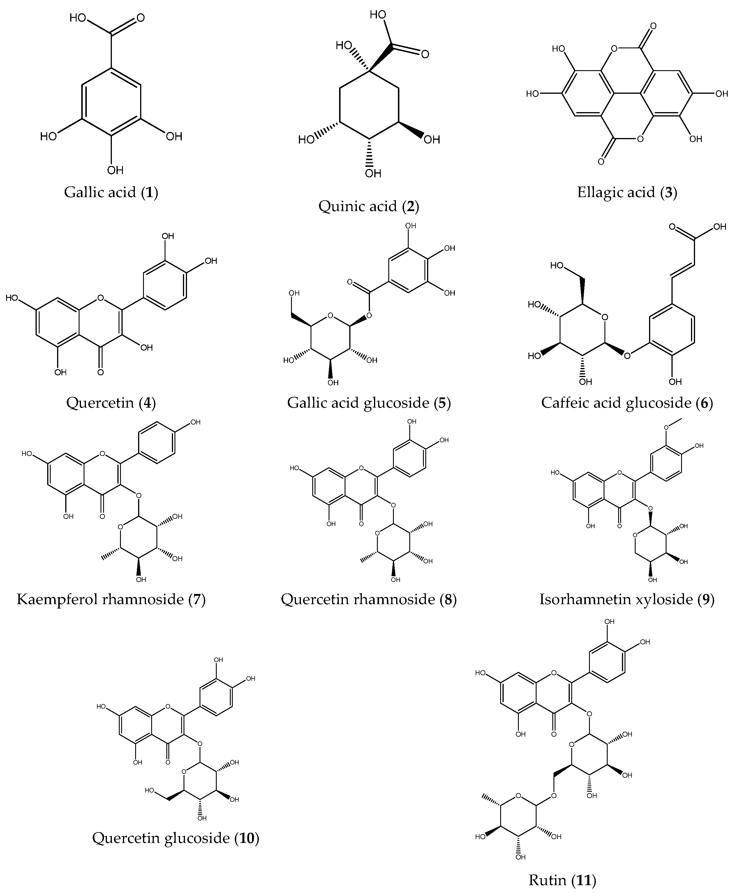 Plants 14 03357 g001