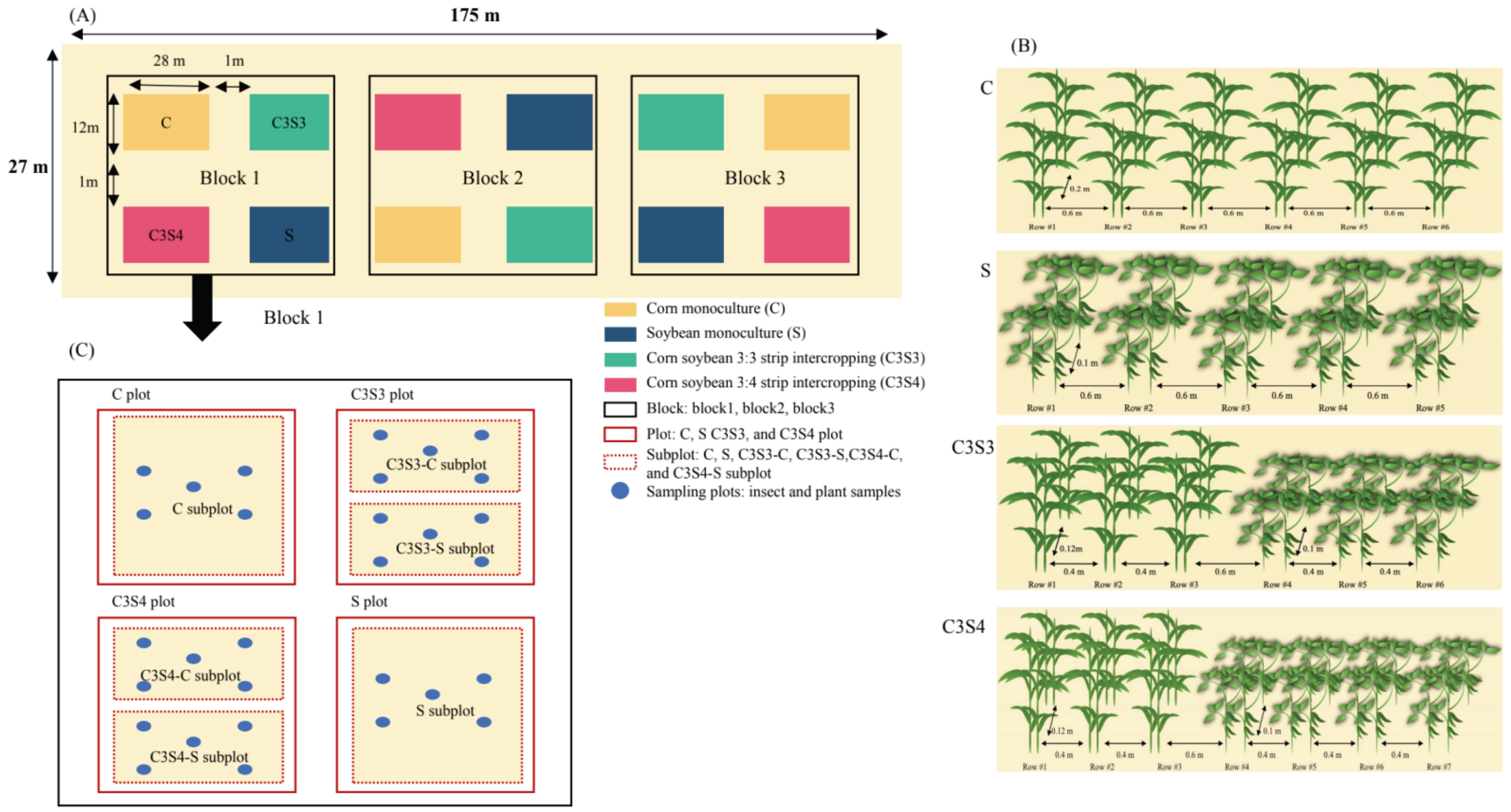 Plants 14 03358 g007 Plants 14 03358 g007