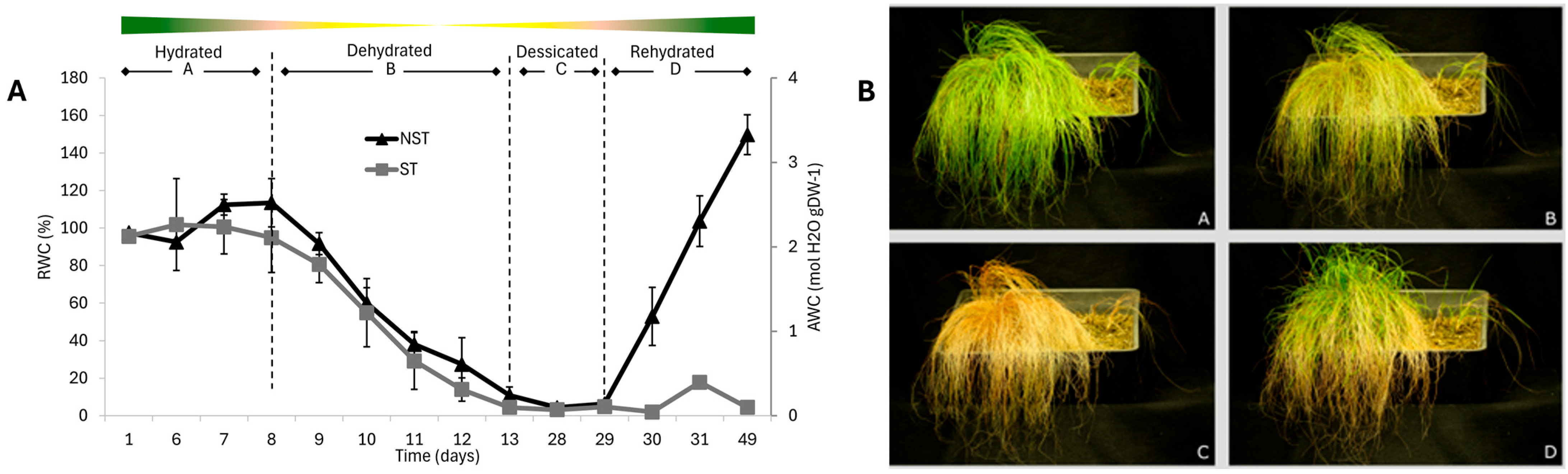 Plants 14 03360 g001 Plants 14 03360 g001