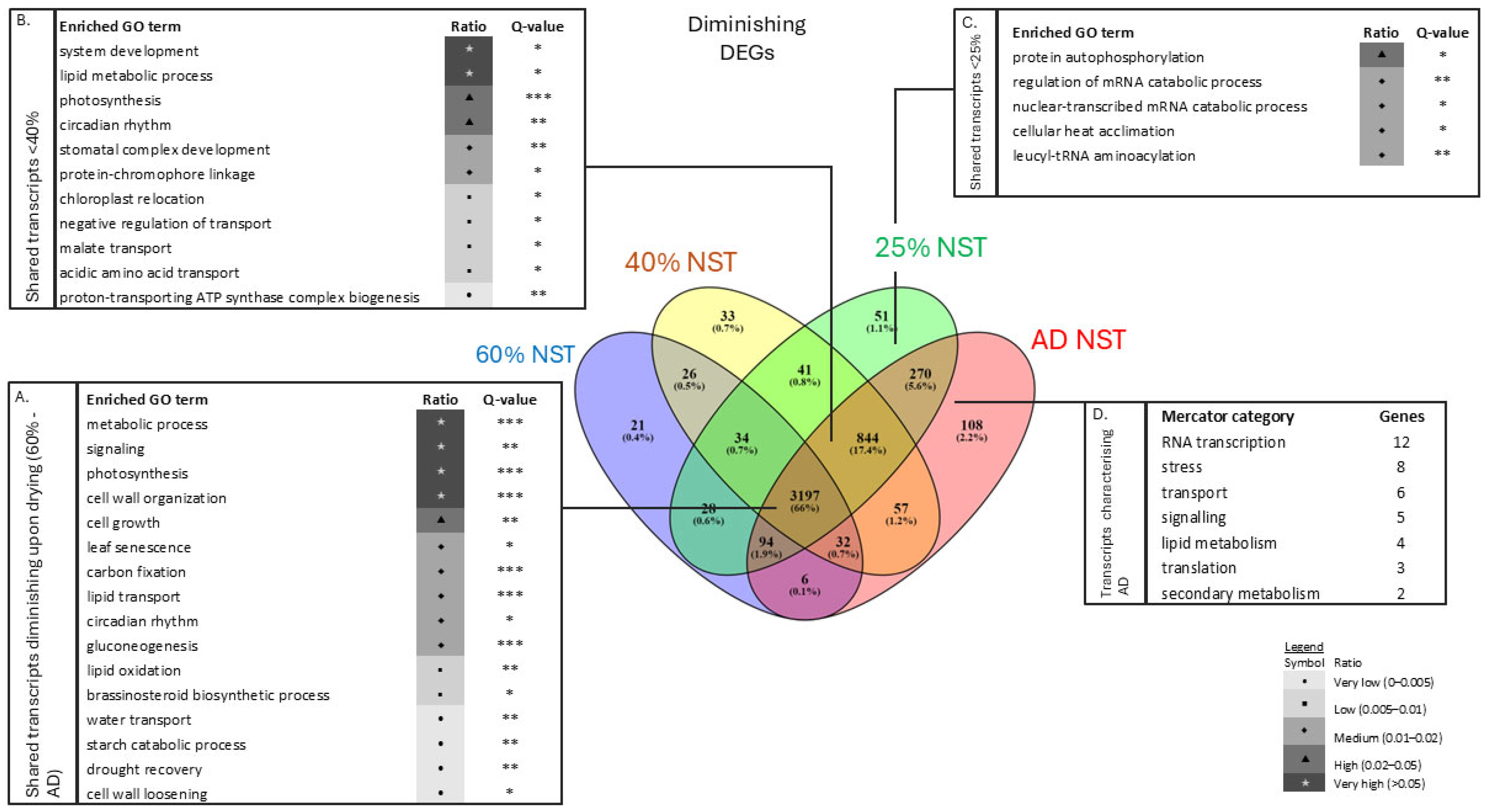 Plants 14 03360 g006 Plants 14 03360 g006