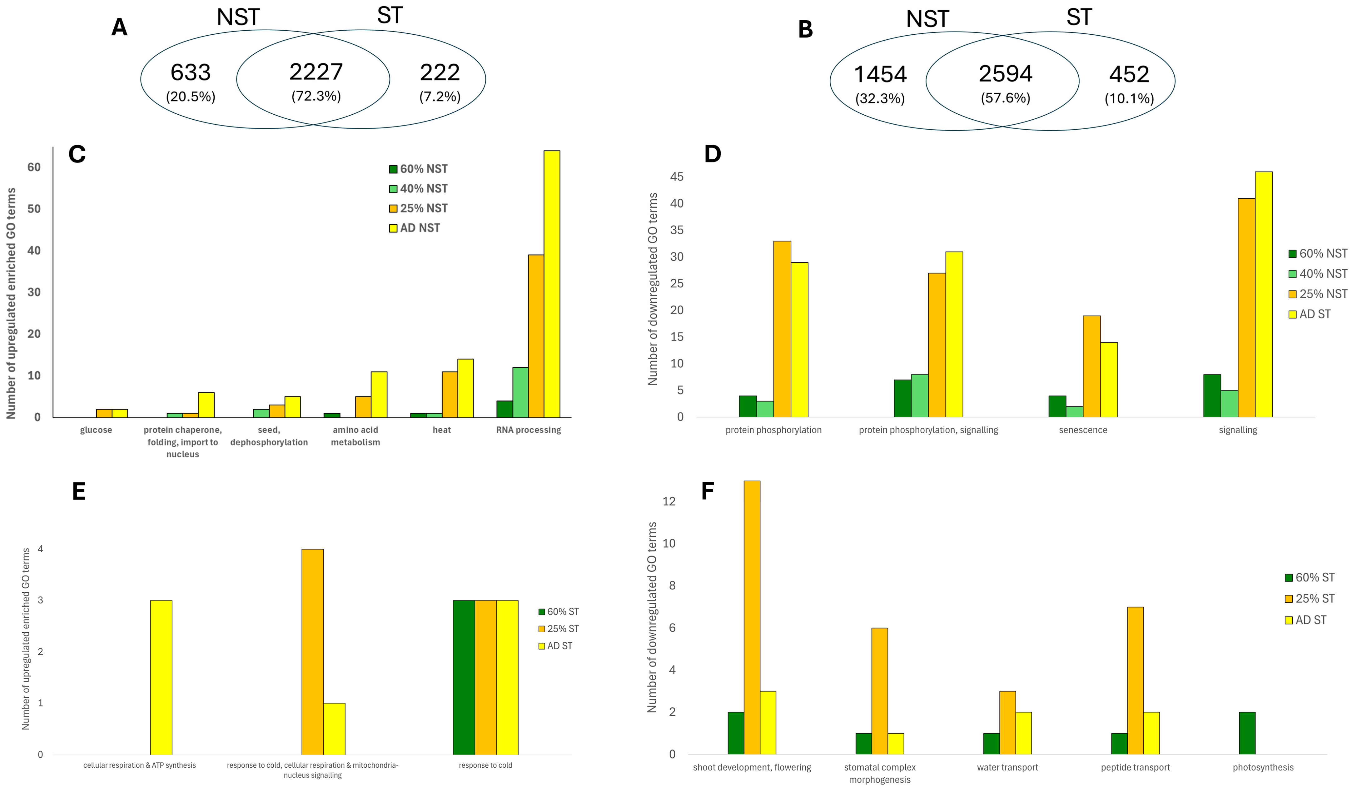 Plants 14 03360 g007 Plants 14 03360 g007