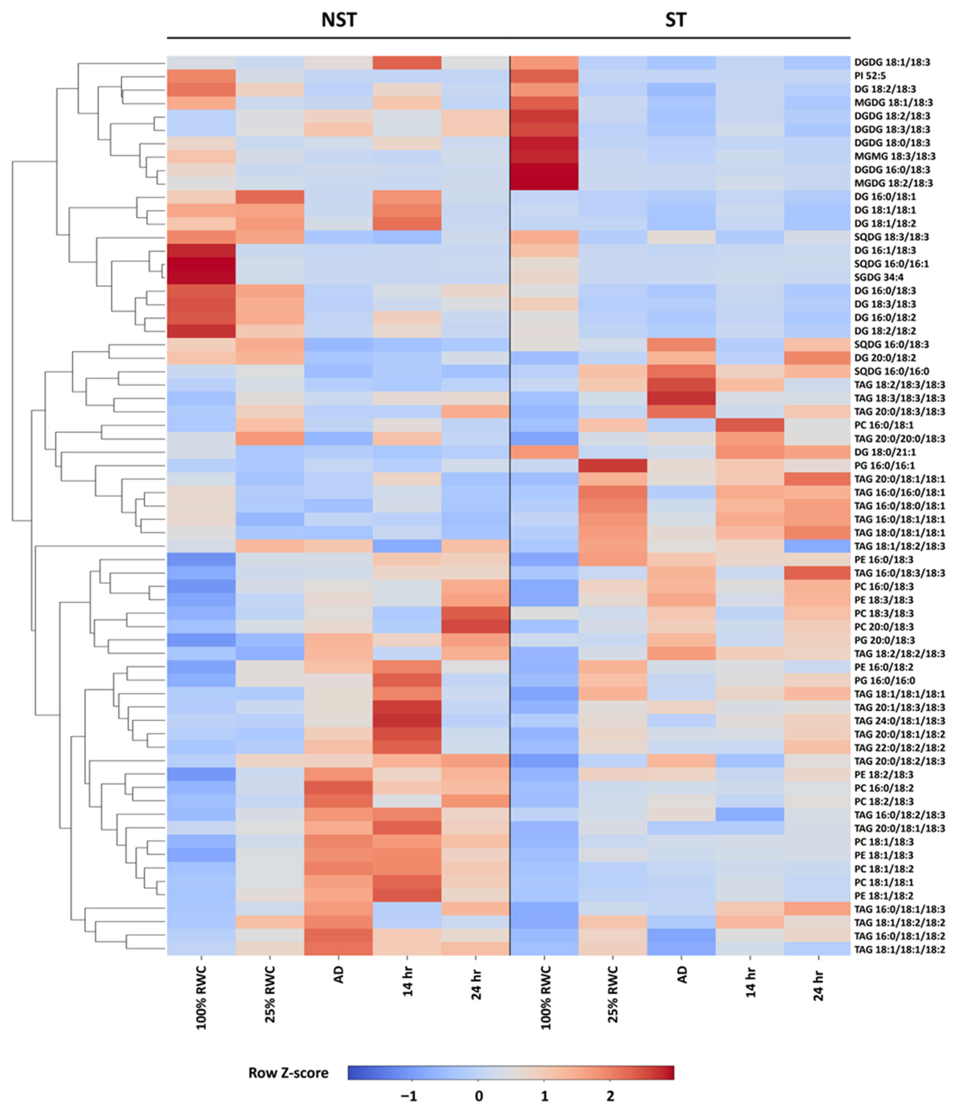 Plants 14 03360 g008 Plants 14 03360 g008