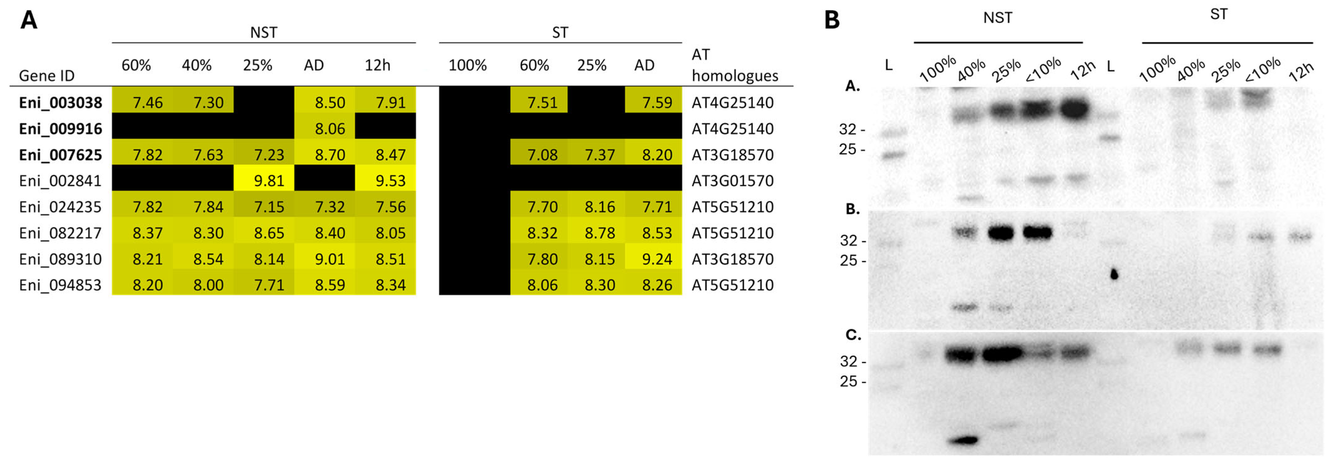 Plants 14 03360 g010 Plants 14 03360 g010