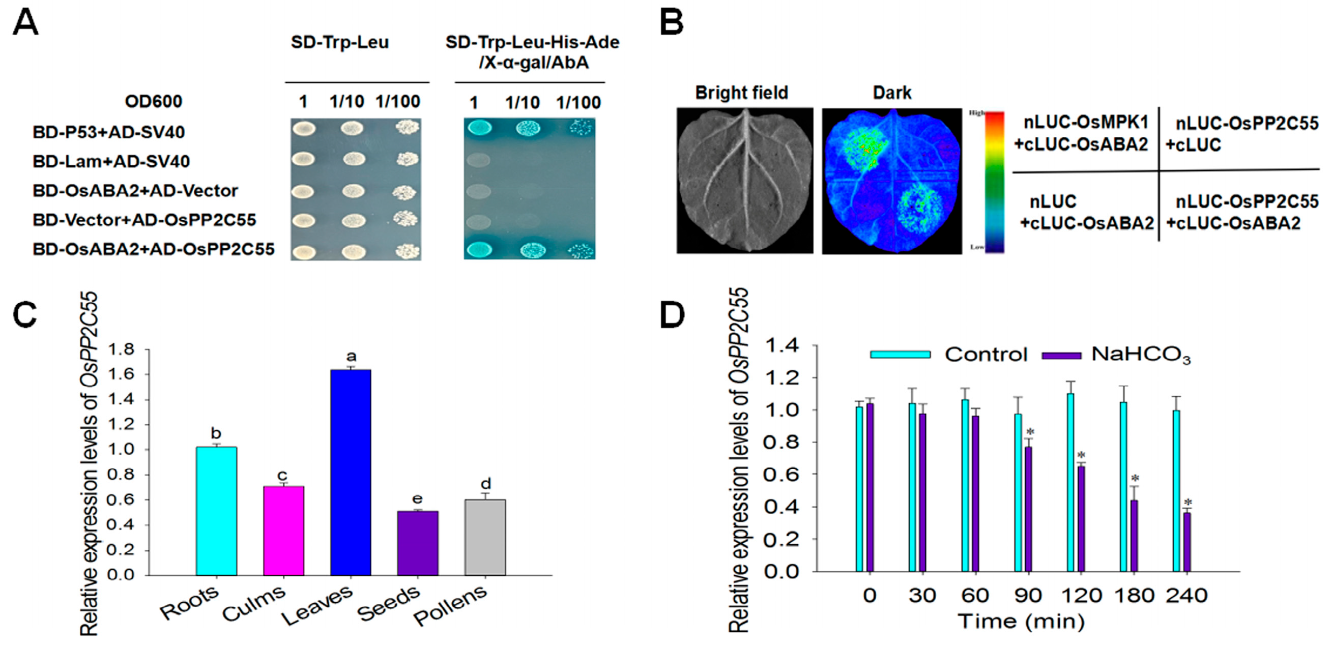 Plants 14 03362 g001 Plants 14 03362 g001