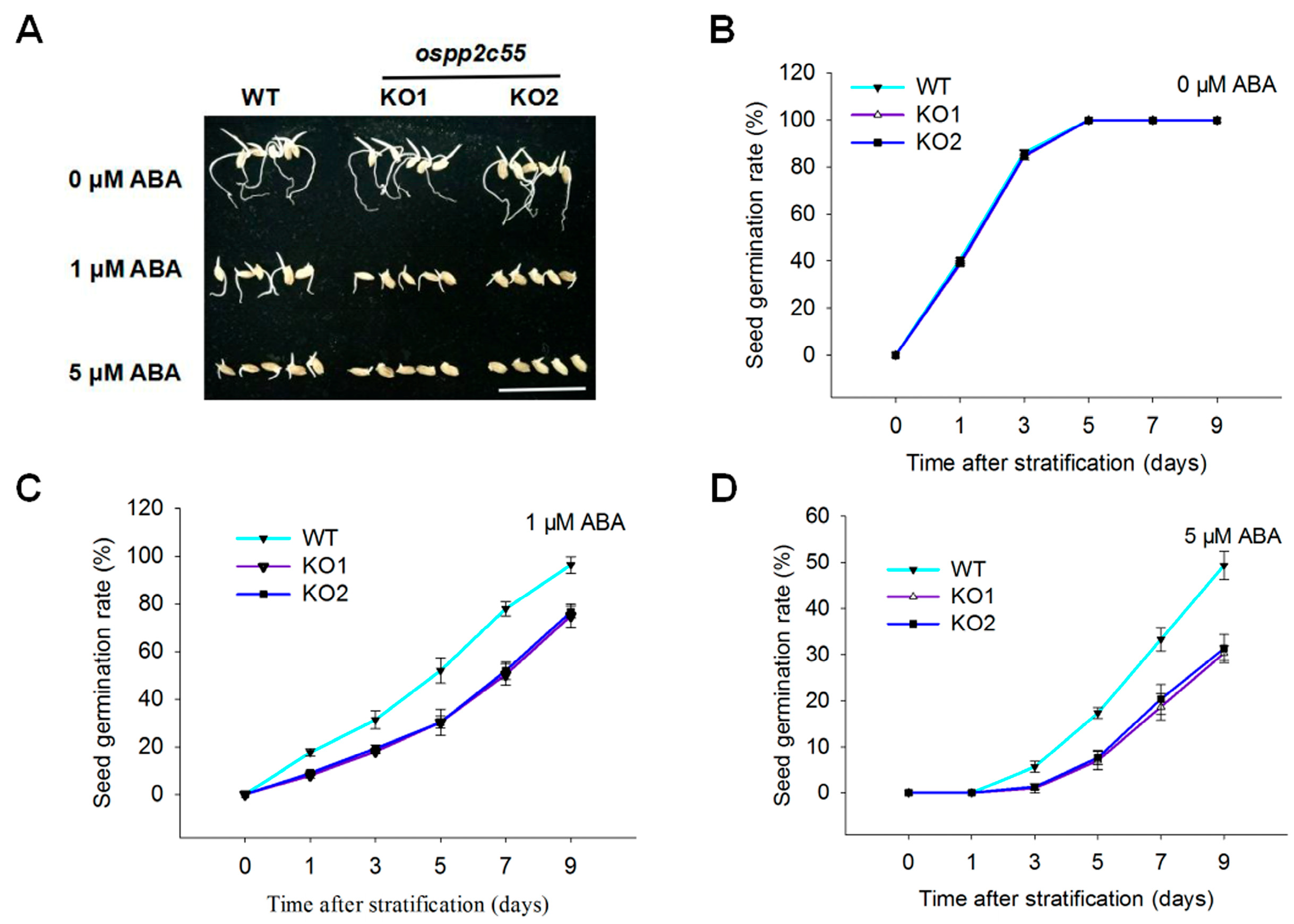 Plants 14 03362 g003 Plants 14 03362 g003