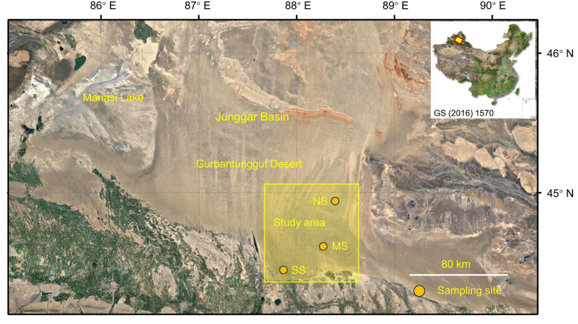 Plants 14 03363 g006 Plants 14 03363 g006