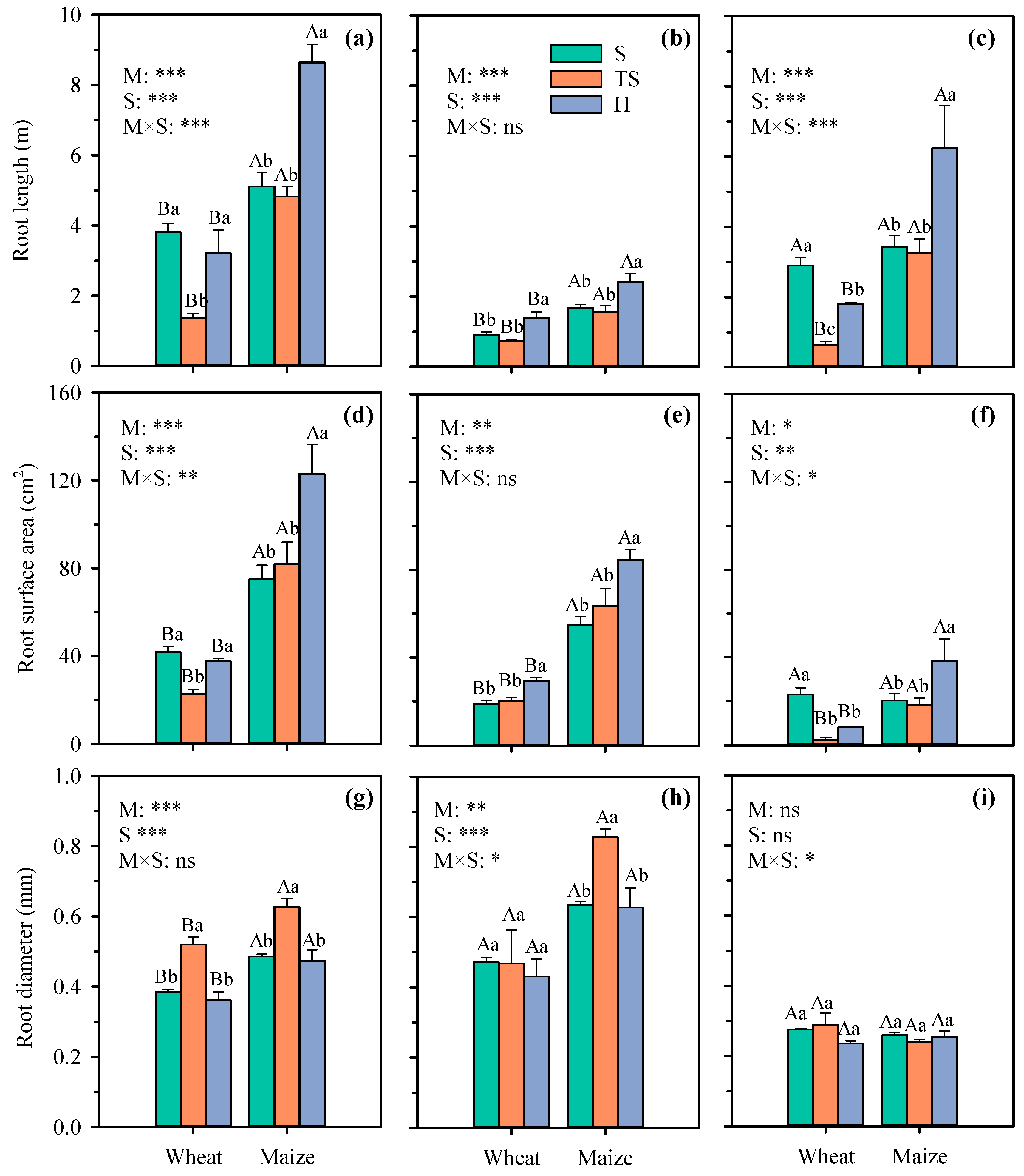 Plants 14 03369 g003 Plants 14 03369 g003